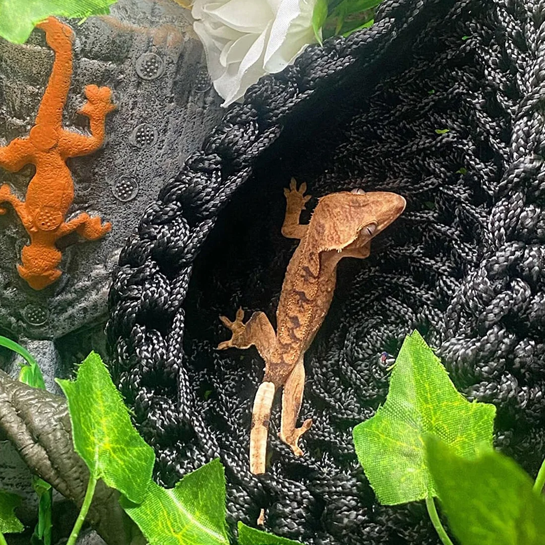 Brodaty smok hamak dla gadów, akcesoria, leżak jaszczurka, wiszący hamak terrarium dla gadów, kameleonów, gekonów, węży, igwany, szary