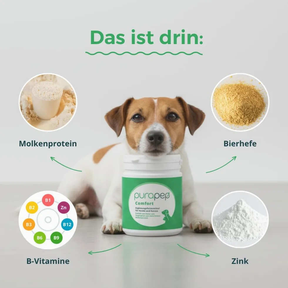 Proszek Comfort – łagodzi stres, lęk i agresję, wspomaga relaks. Naturalny środek uspokajający dla psów i kotów + tryptofan + witaminy z grupy B. Idealny na Sylwestra i fazy stresu. 280 g