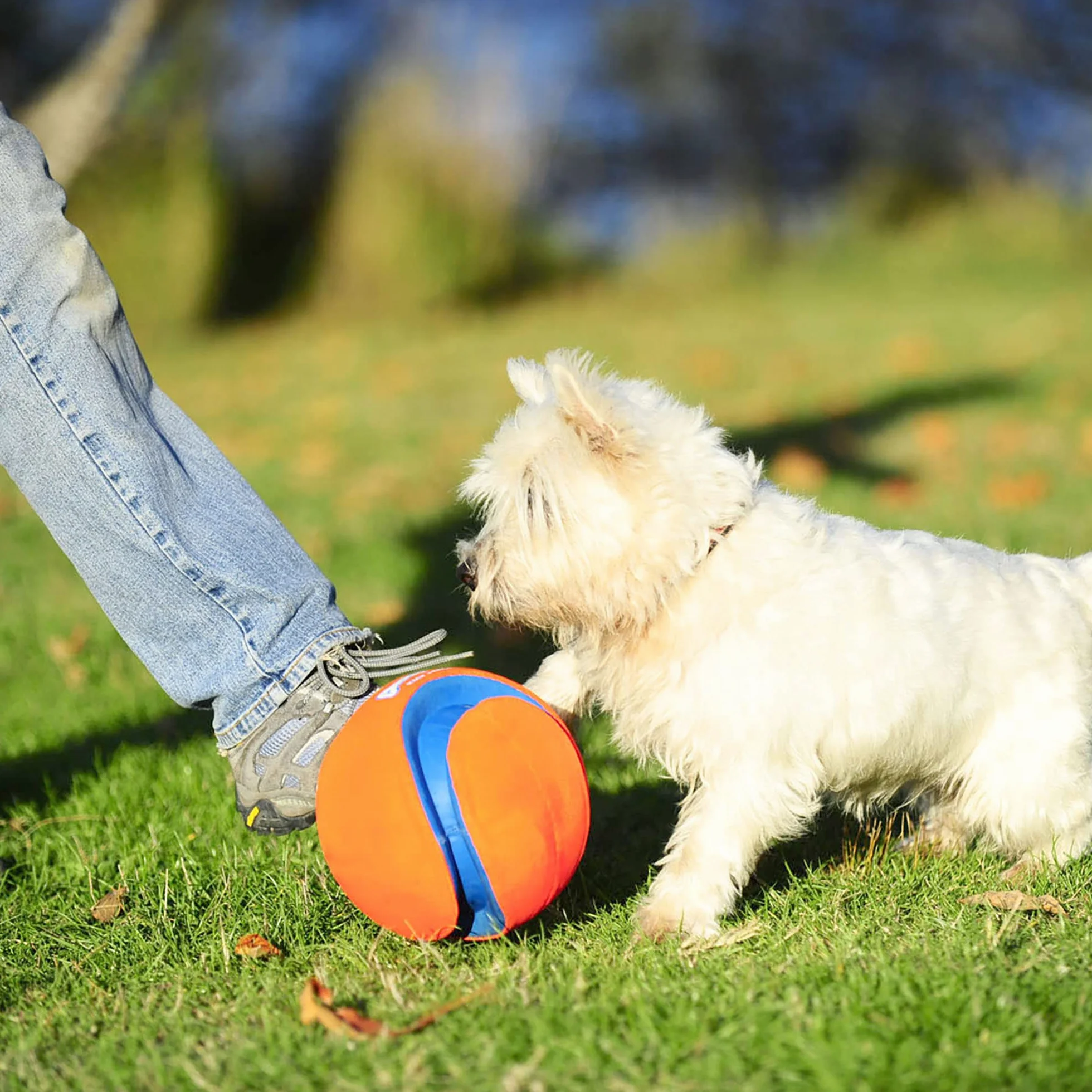 Chuckit! ! CH251201 Kick Fetch Duży