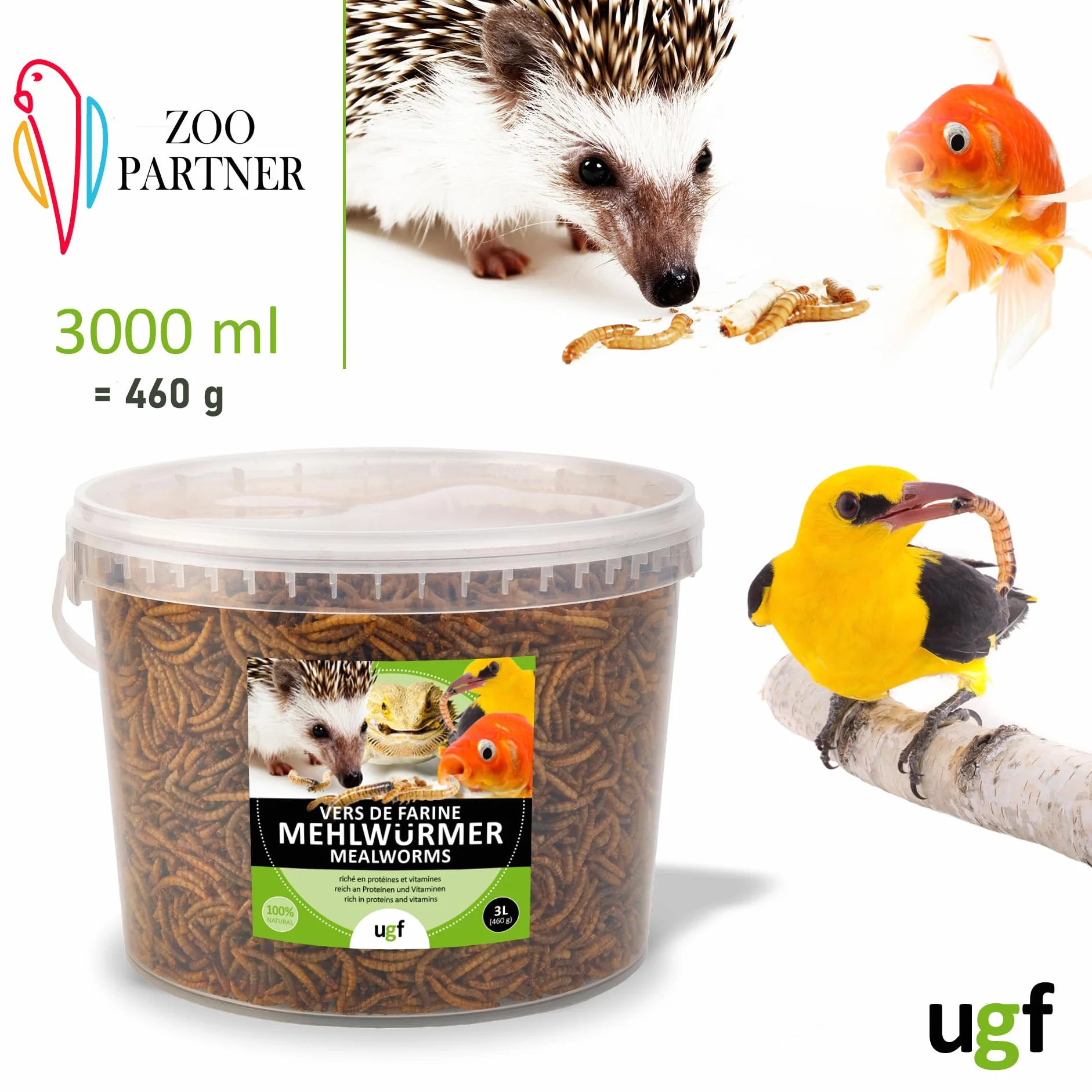 UGF - Premium Mączniki 3-Litrowe Wiadro - 460 g w wiaderku 3-litrowym, karma dla ptaków dzikich, całoroczna, karma dla jeży, karma dla wiewiórek, karma dla chomików