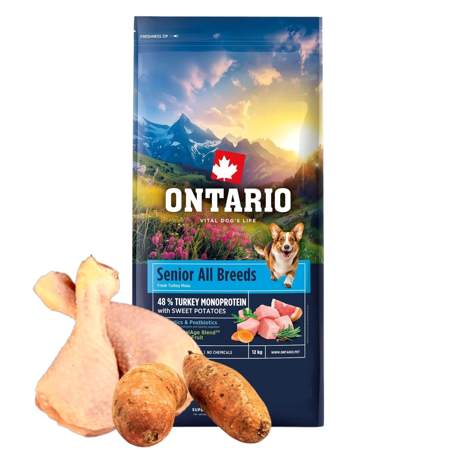 ONTARIO SENIOR MONO 12KG Karma Monoproteinowa dla Starszych Psów z Indykiem