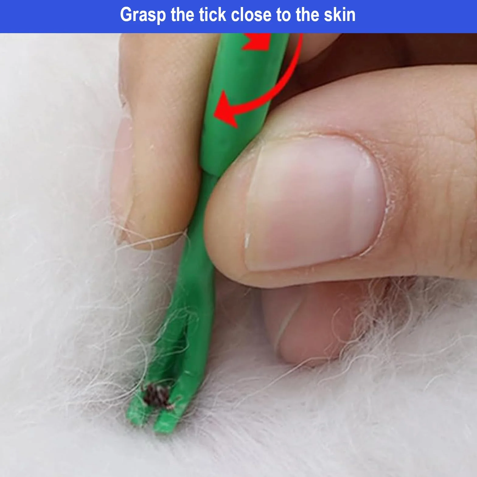 Tick Tweezers Set for Dog Cat Mens - 5 szt. Tick Tweezers z haczykiem, metalową pęsetą i kleszczami Tweezers, bezpieczny środek do usuwania kleszczy dla dzieci i zwierząt domowych