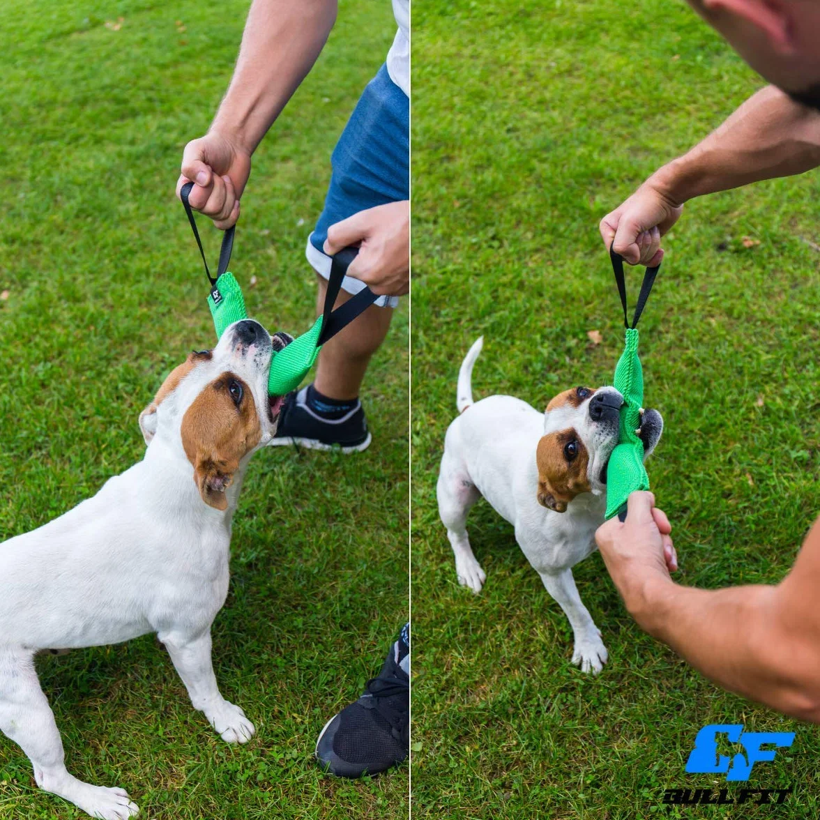 Bull Fit Szarpak dla psa 30 cm, z dwiema rączkami - Bardzo wytrzymała zabawka dla psów do treningu obronnego i kynologii sportowej - Mocny Szarpak z materiał ringowy, Aport Dummy pomarańczowy