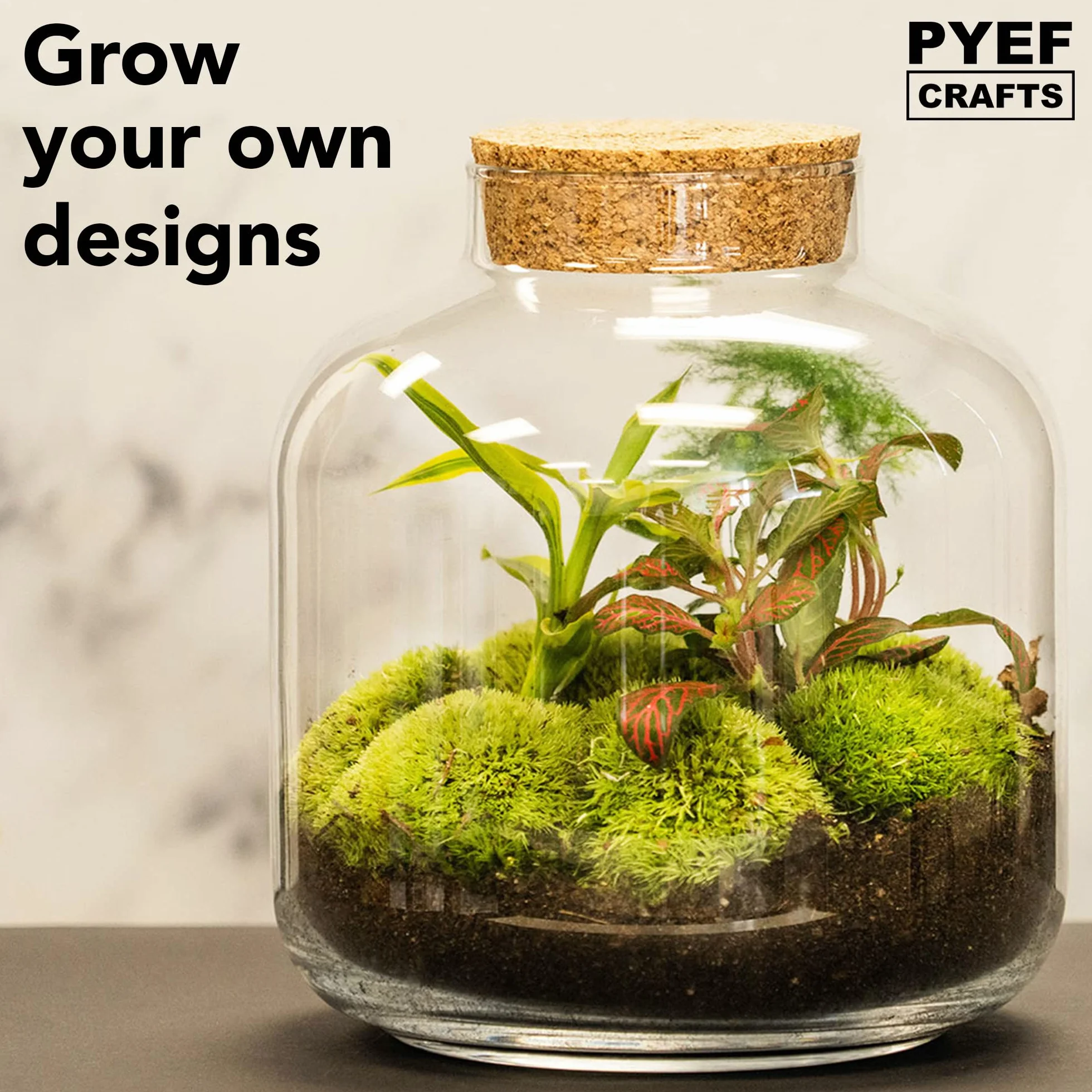 Zestaw do terrarium DIY dla roślin, zestaw startowy do ogrodu w butelce, samowystarczalny ekosystem - materiały dla sukulentów, roślin powietrznych, paproci - zestaw bez słoika (M), bez