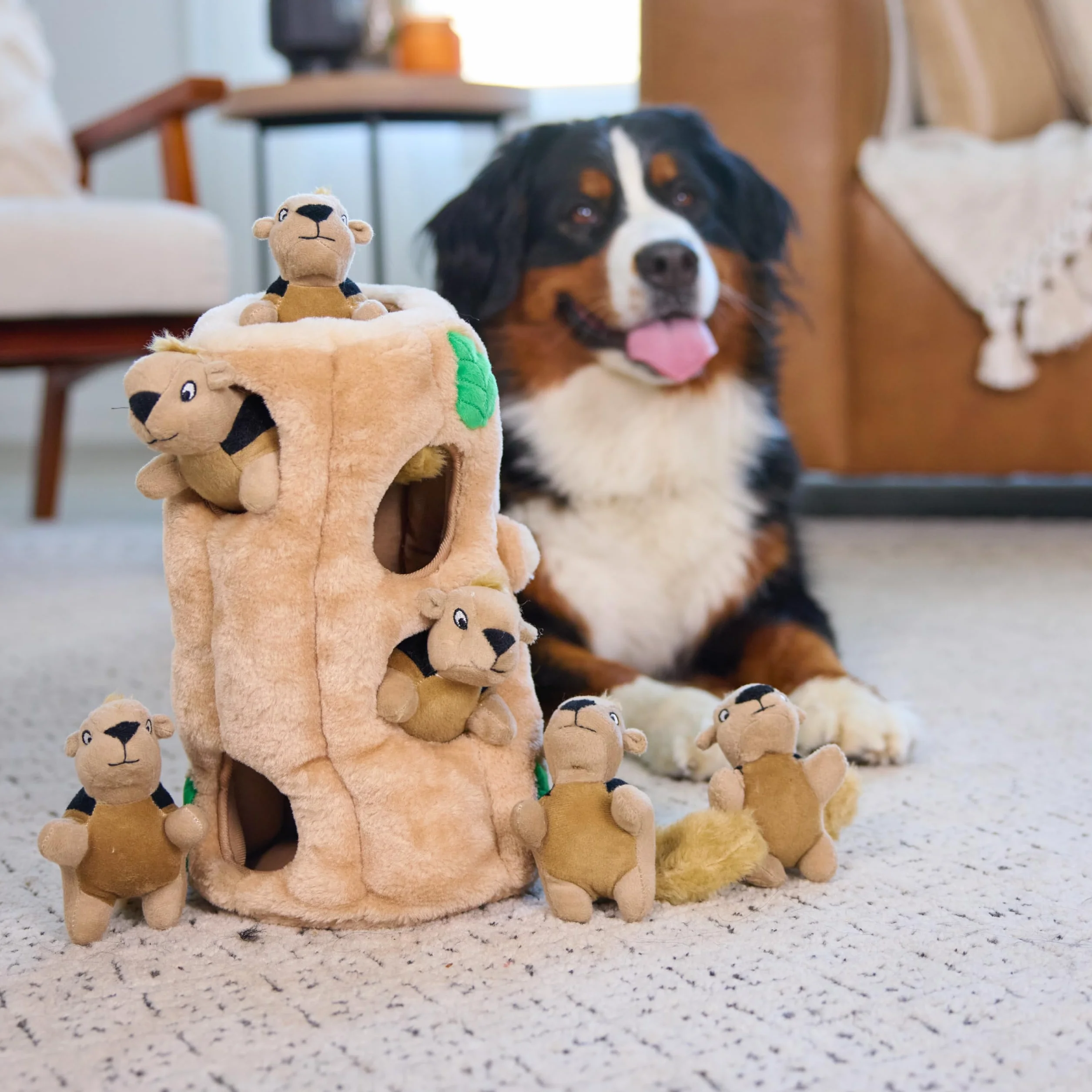Outward Hound Hide A Squirrel - Zabawka pluszowa dla psów - pod postacią wiewiórek - kolor brązowy - rozmiar XL