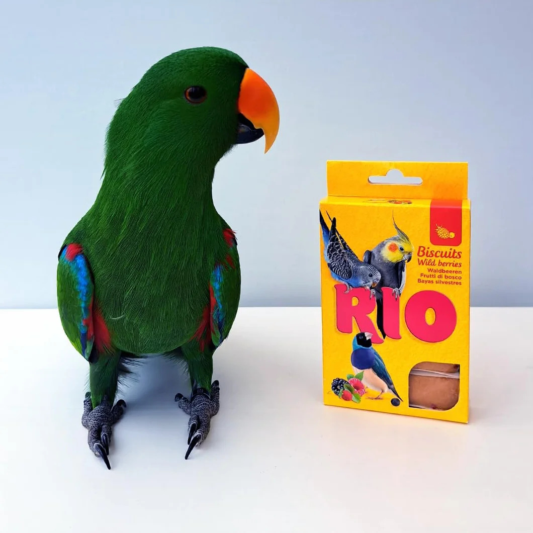 RIO Biszkopty z leśnymi jagodami, dwupak, 2 x 35 g, karma uzupełniająca dla ptaków ozdobnych, składa się z całych jaj i zbóż, dla urozmaicenia w planie posiłków