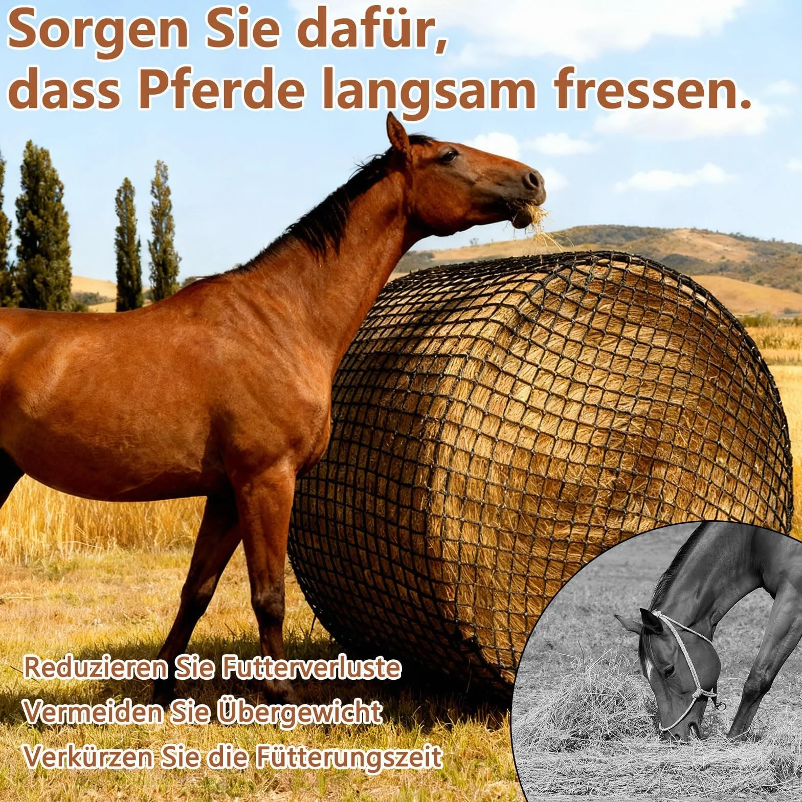 Siatka na siano do okrągłych beli, małe oczka, rozmiar 5 x 1 m