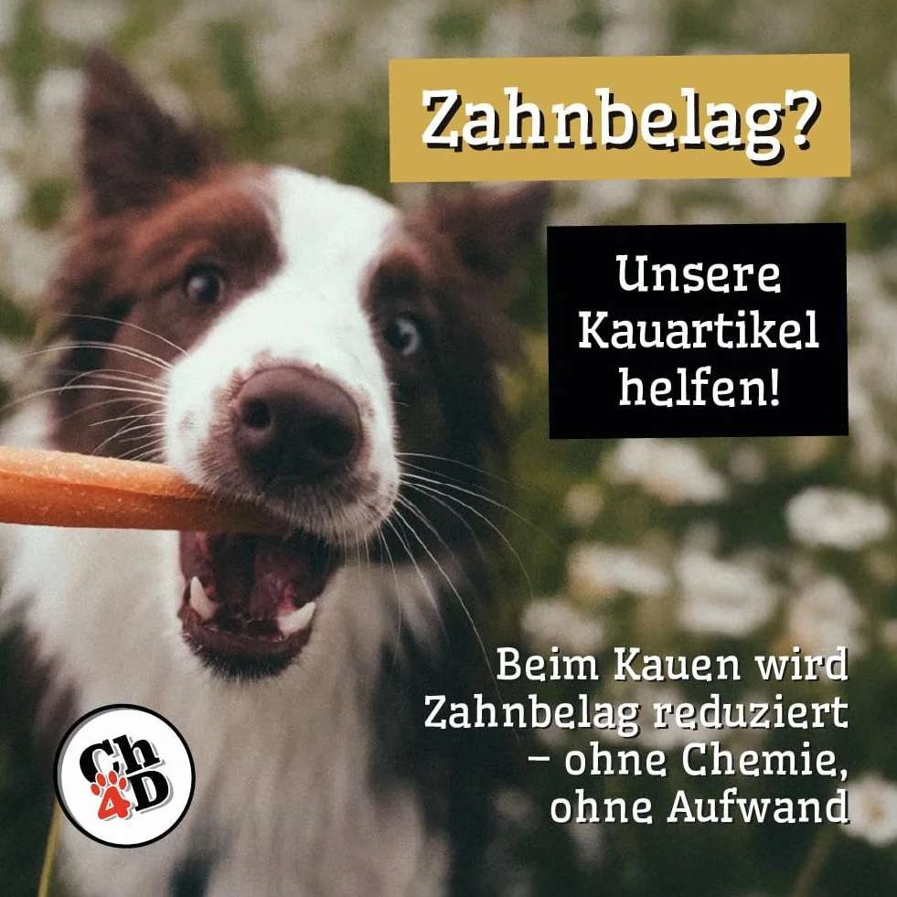 Duo-Mix, Ch4D świńskie uszy i wołowe uszy dla psów – naturalny gryzak z UE – suszony powietrzem, bez dodatków – gryzak wspierający higienę zębów i zajęcie psa – opakowanie ze struną