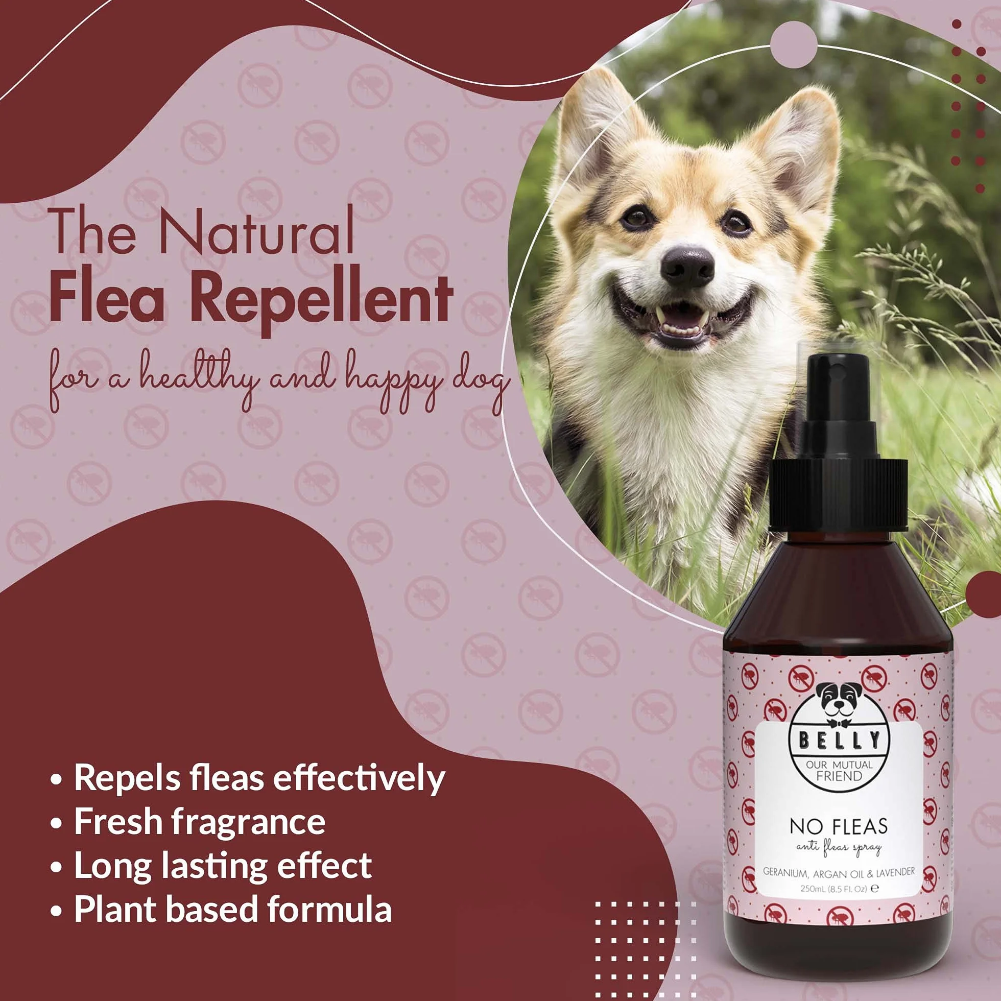 Belly Spray przeciw pchłom, 250 ml, bez plam i pozostałości, domowy spray przeciw pchłom z lawendą, geranium, olejem arganowym, chroni pchły, kleszcze i komary - Wegański - Wyprodukowano w Niemczech