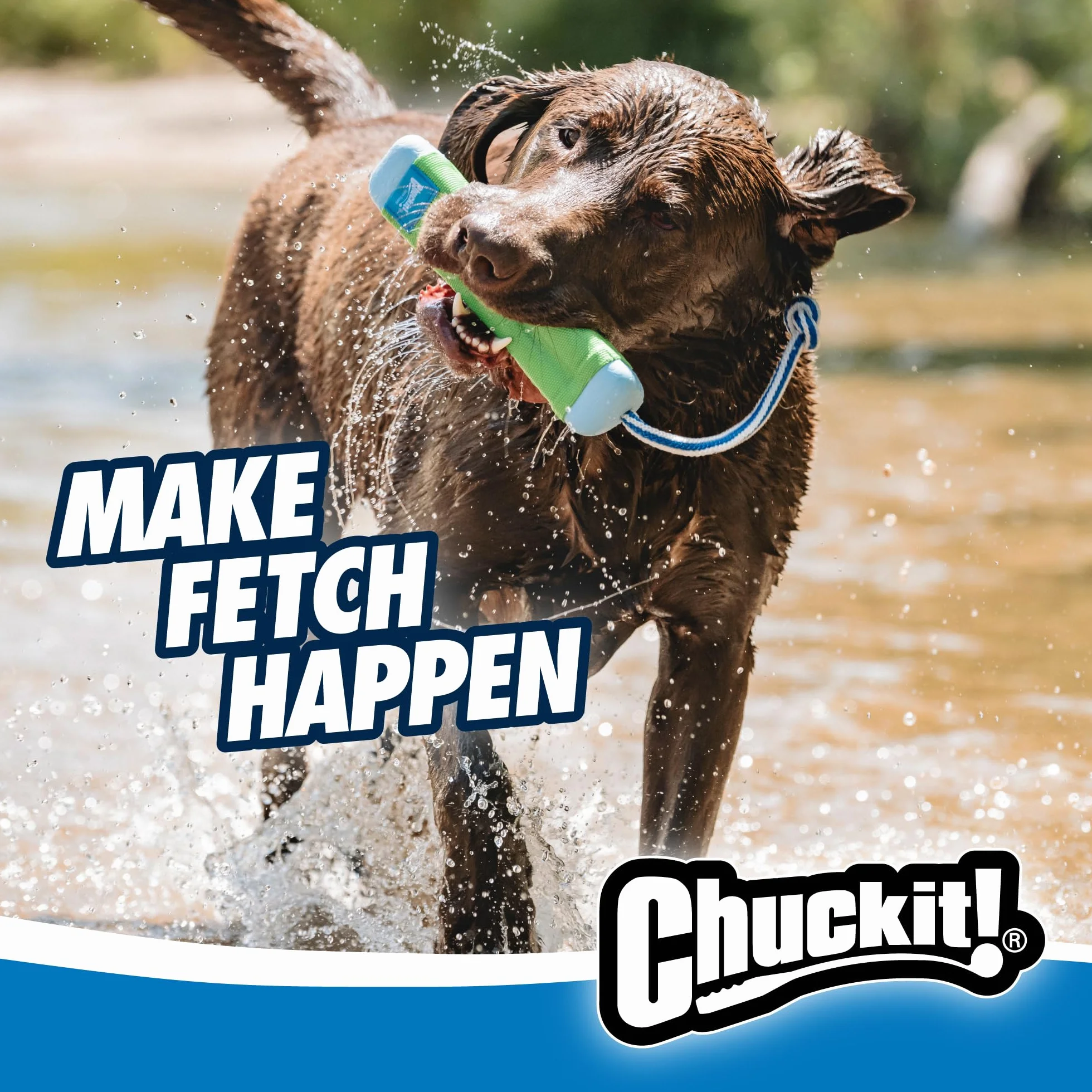 Chuckit! Amphibious Zderzak dla Psa z Liną - Pływająca Zabawka na Ląd i Wodę, Świąteczna dla Psów - Średnia