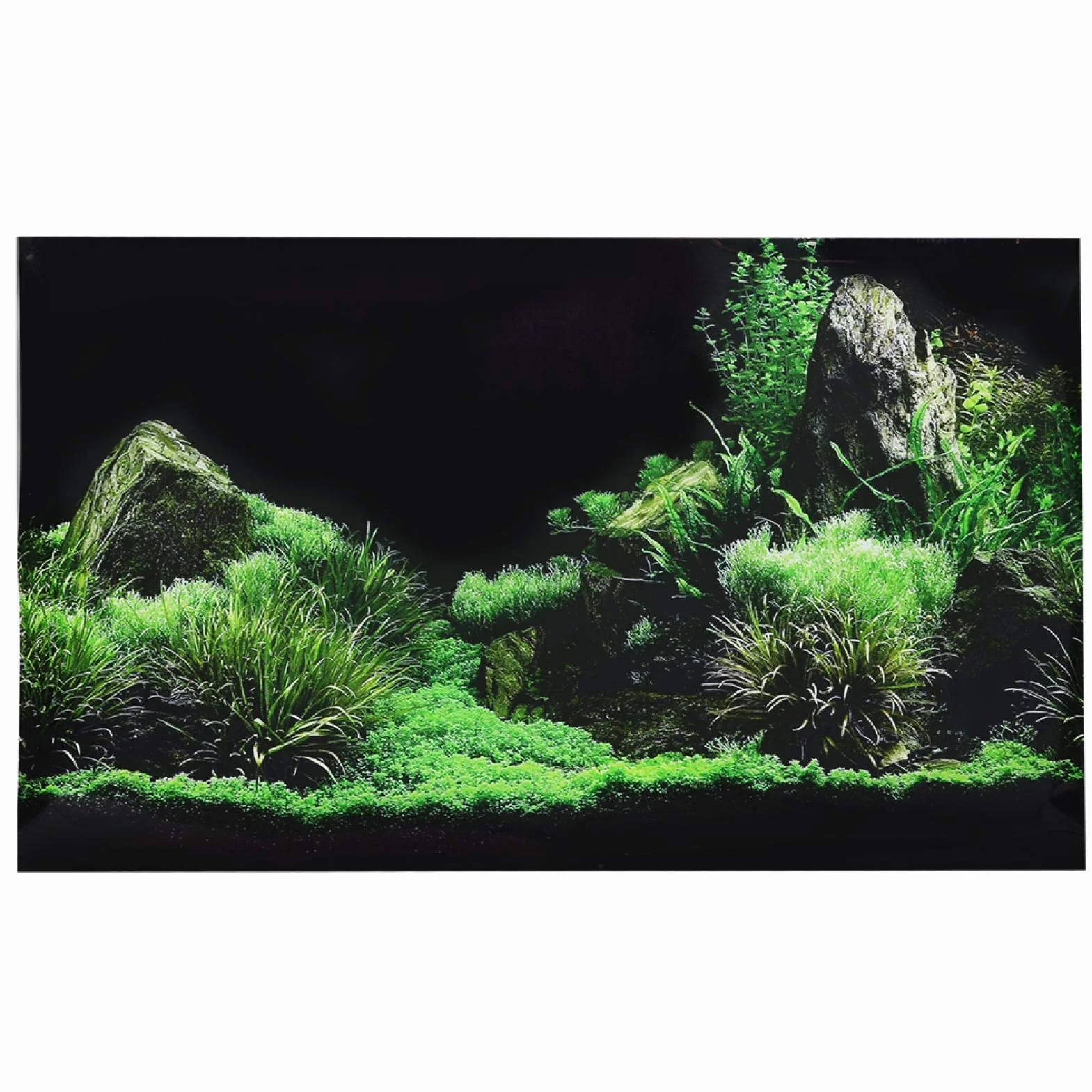 Plakat akwariowy, woda z dna morskiego, trawa, tło akwarium Plakat Klej do PVC Terrarium Dekoracja tła Papierowa naklejka na tło akwarium (61 x 40 cm)
