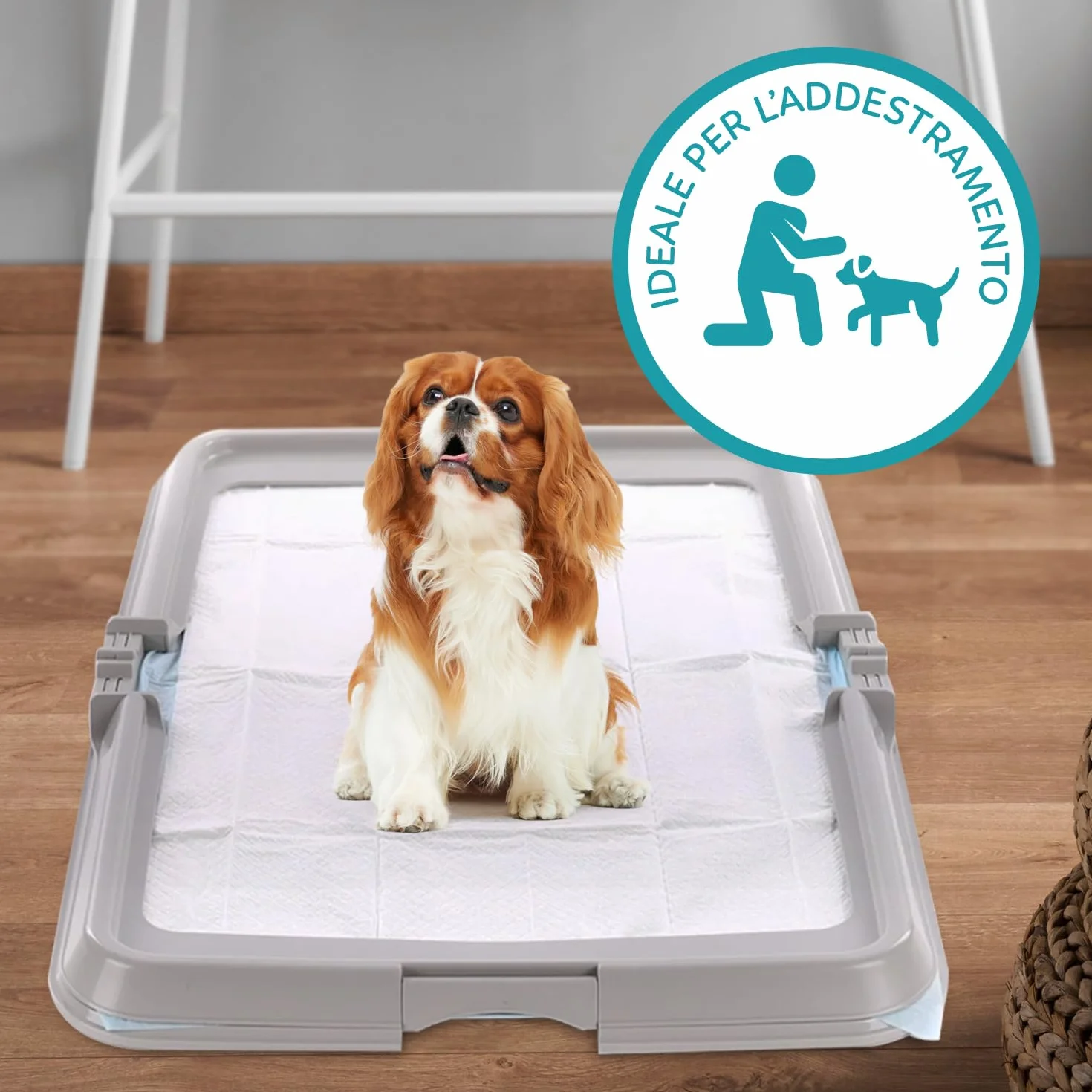 Aqpet Friends BauBox składany żwirek dla psa, składany 86 x 62 cm | tacka na maty chłodzące, idealna do szkolenia szczeniąt i użytku domowego