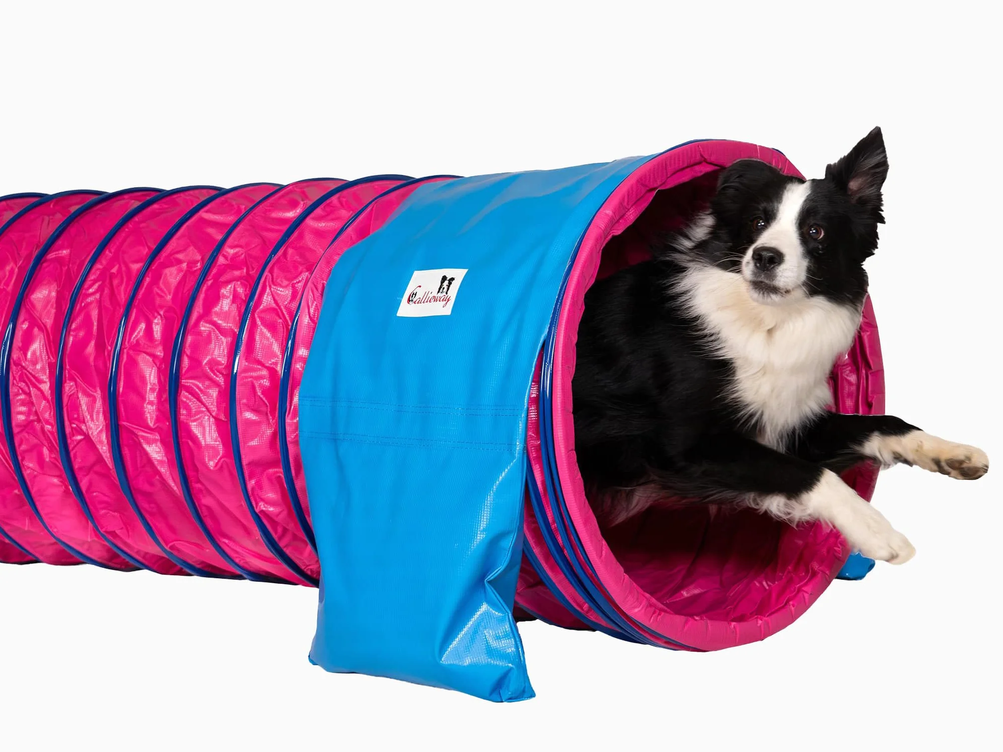 Callieway® Dog Agility tunel profesjonalny / psy tunel 5 m długości / 60 cm Ø Agility urządzenie (5 m, fuksja)