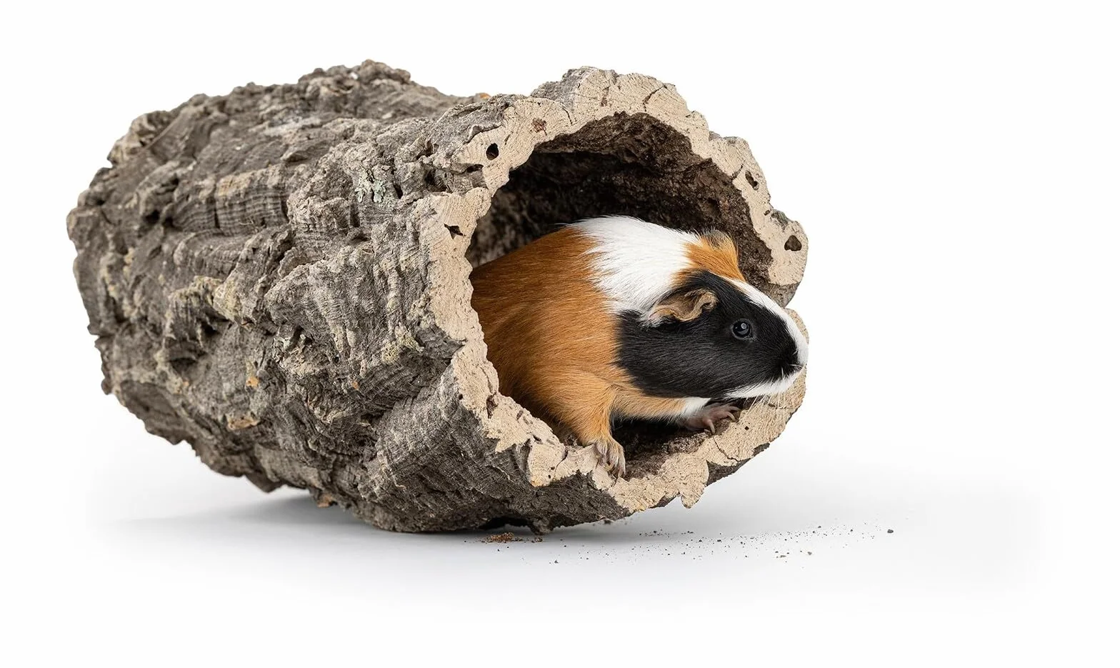 Rurka korkowa Happet - naturalna kora dębu korkowego – akcesorium wspinaczkowe dla gadów, bezkręgowców i małych ssaków, uniwersalne i estetyczne do terrariów i wolier (10-15 cm x 20 cm)