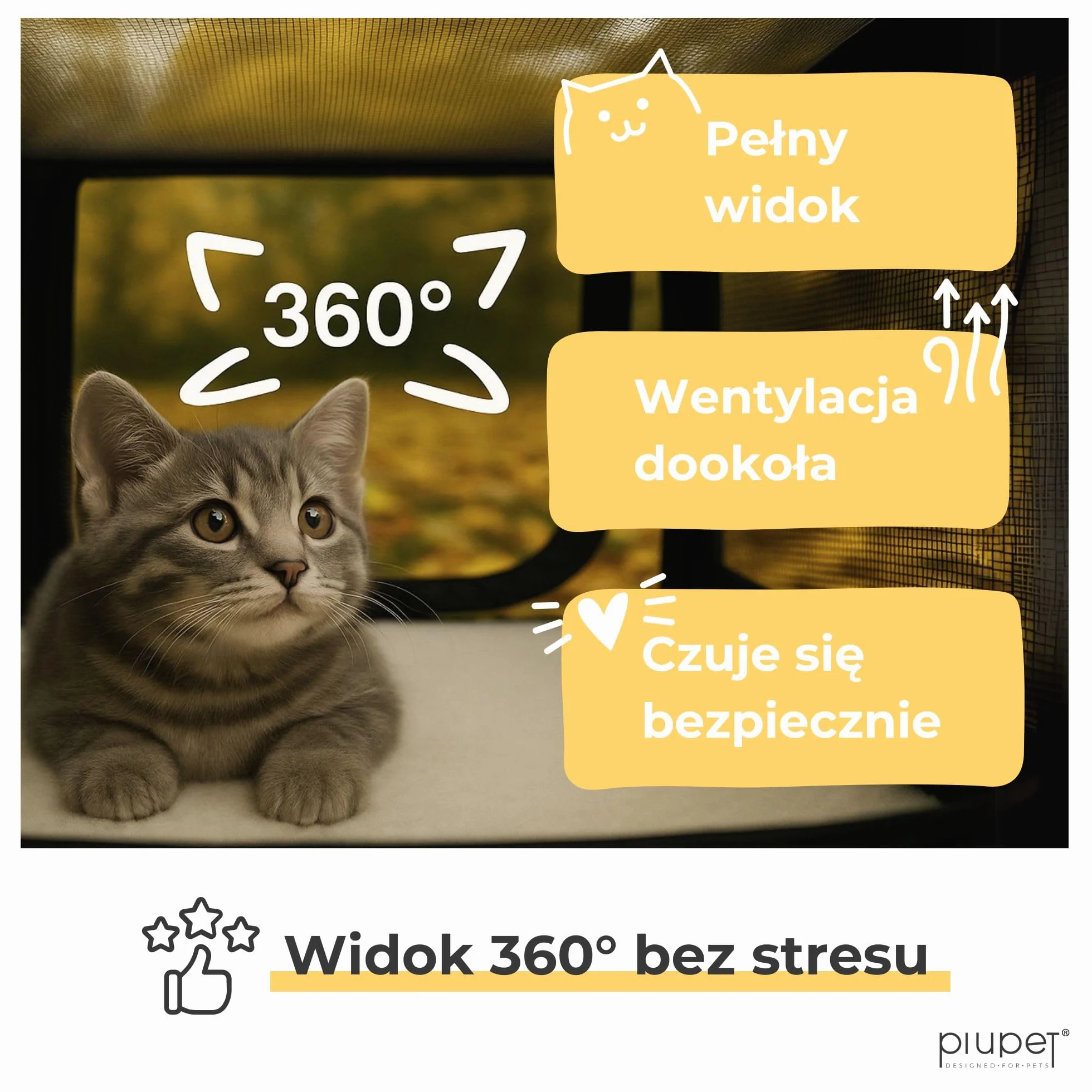 PiuPet® Pudełko transportowe i stabilna torba dla transportowych kotów I idealna z dużym polem widzenia