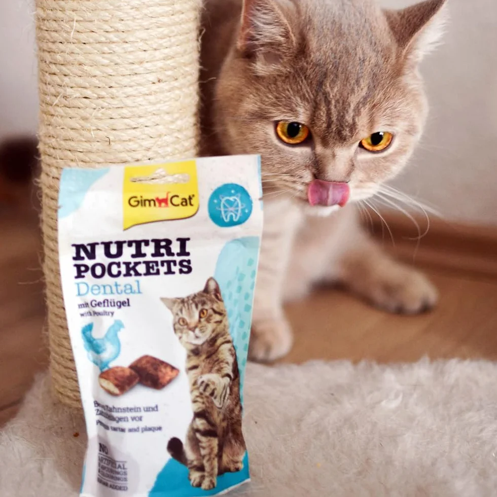 GimCat Nutri Pockets Dental - Chrupiący przysmak dla kotów z kremowym wypełnieniem i składnikami aktywnymi - 1 worek (1 × 60 g)