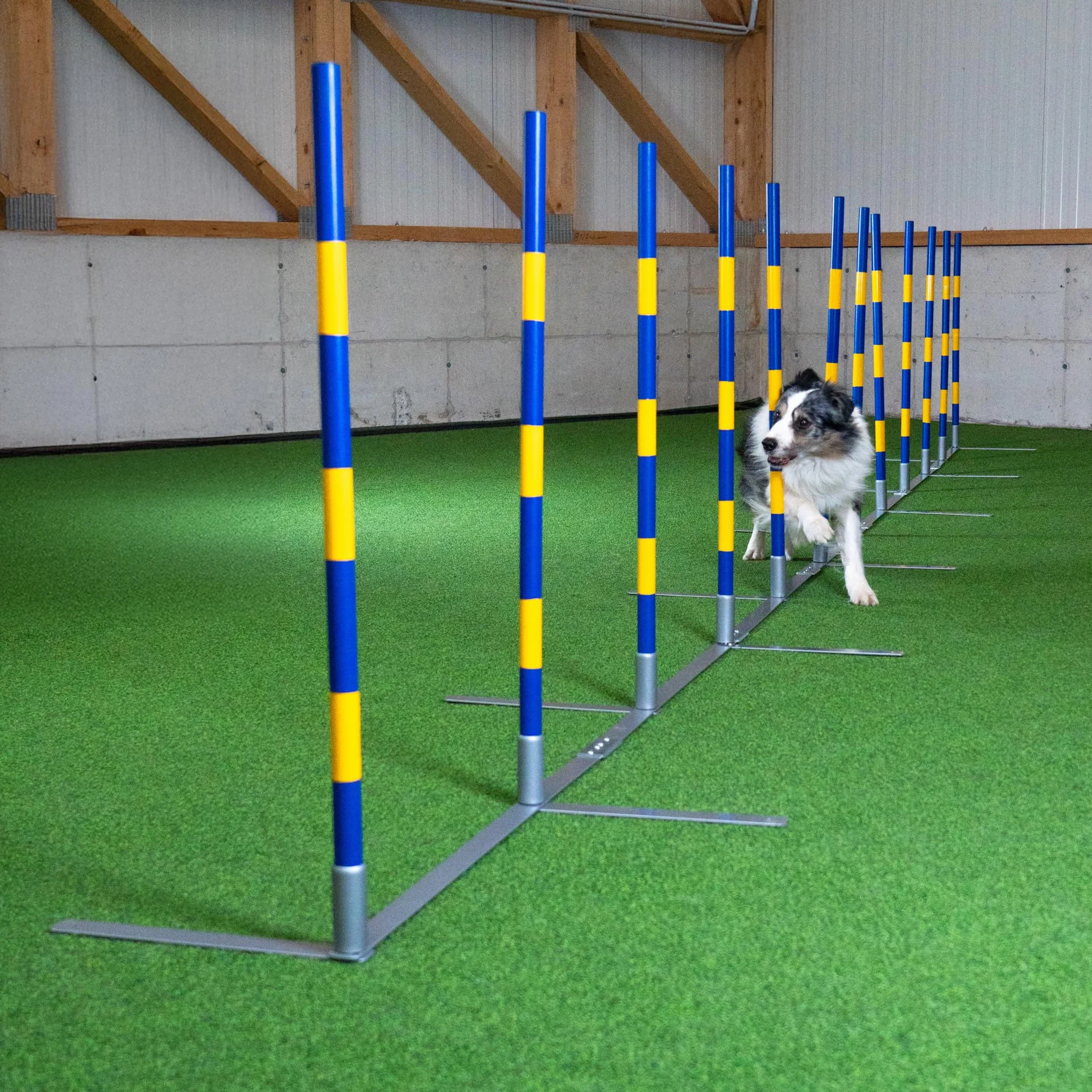 Callieway Agility Slalom – 12 drążków Agi Slalom "2by2 Flex" od 2 x 2 treningów do FCI Slalom itp. - Orig