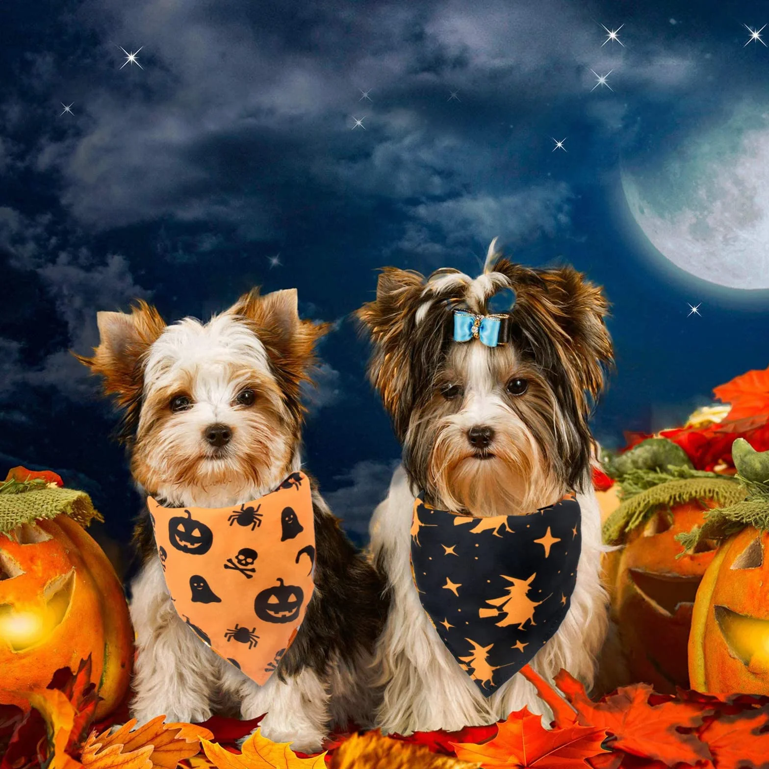 Bandany dla psa na Halloween, 2 szt. zmywalnych halloweenowych czarownic wzór dyni szalik dla psa, regulowana trójkątna chusta dla kota psa, akcesoria do kostiumu dla szczeniaka małych i średnich dużych psów