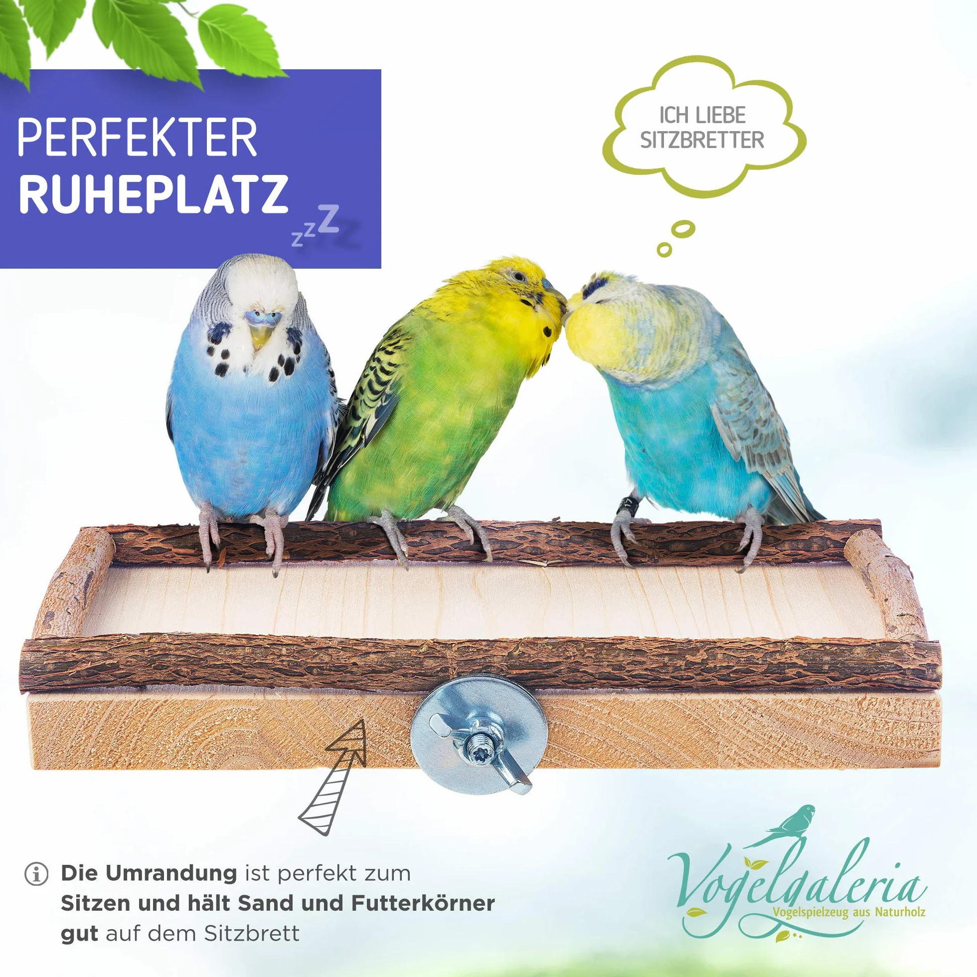 Vogelgaleria zestaw 2 desek platform do siedzenia 10 x 20 cm z naturalnym drewnem dla ptaków takich, jak kogut papuga falista itp. Idealne akcesoria do klatki, z materiałem do montażu