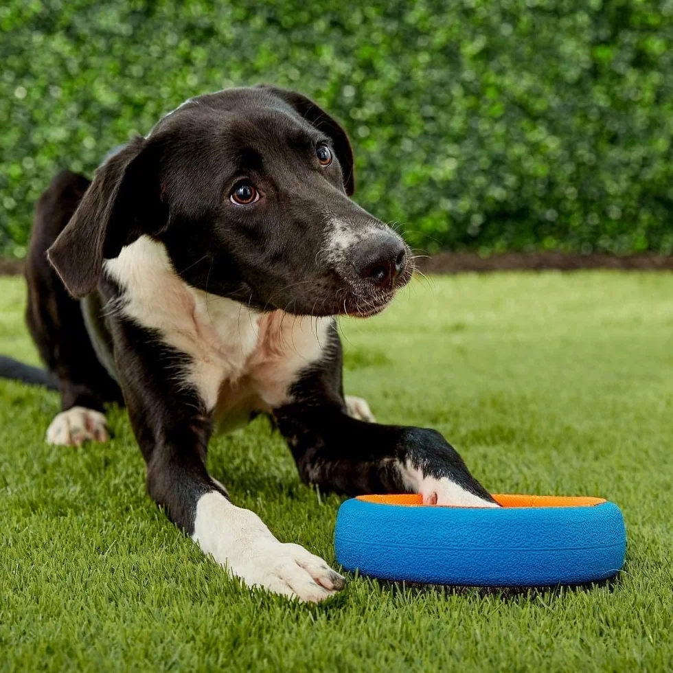 Chuckit! Fetch Wheel Outdoor zabawka dla psa, mała, dla małych ras