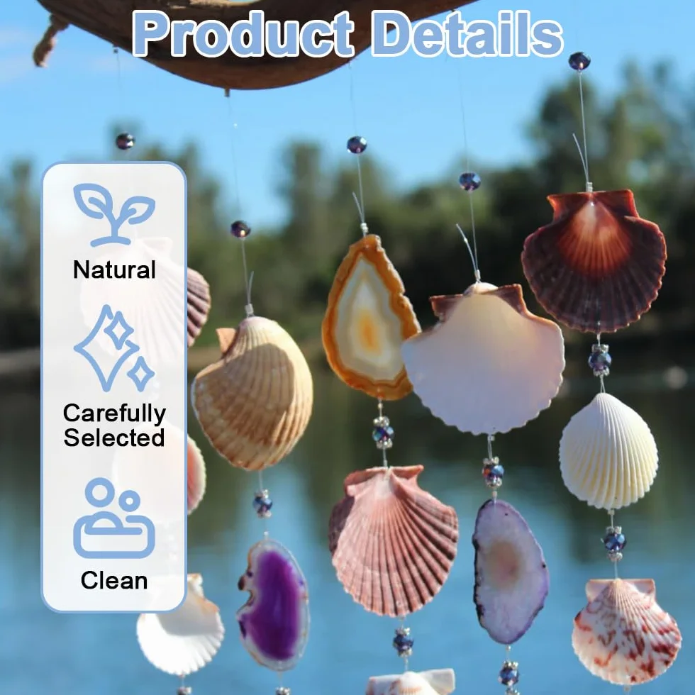 12 białych muszelek, 9-10 cm, duże muszle, muszle, naturalne muszle, do rzemiosła DIY, dekoracja kuchni, dekoracja przekąsek, dekoracja akwarium, na plażę