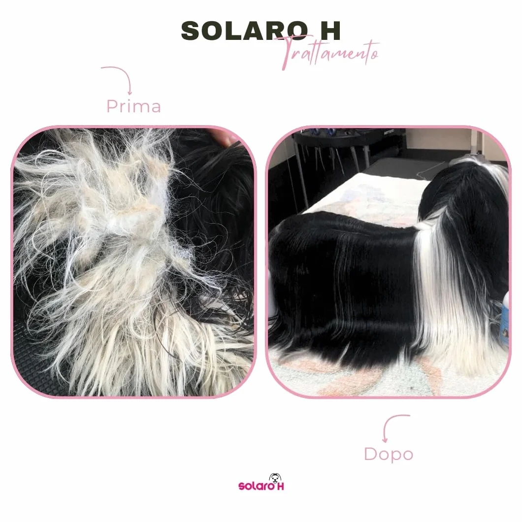 Solaro H Super Flash Gold spray do rozplątywania dla psów, 250 ml, polerujący i pielęgnujący