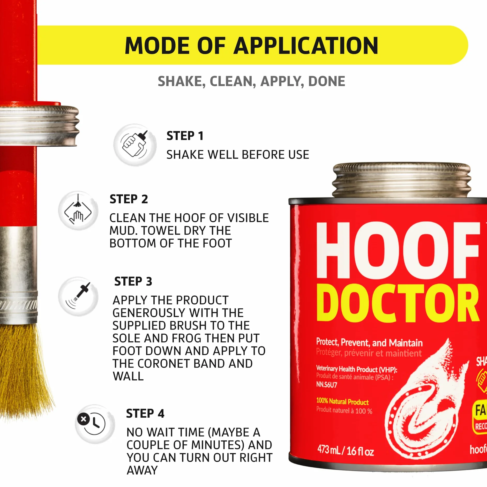 Hoof Doctor - White Line | Thrush | Abscesses | Quarter Crack | Seedy Toe | Corns and Sole Bruises - 100% All-Natural Hoof Care Product - Birch Bark Extract, Betulin, Omega-3 with Vits A & D (16 Oz)