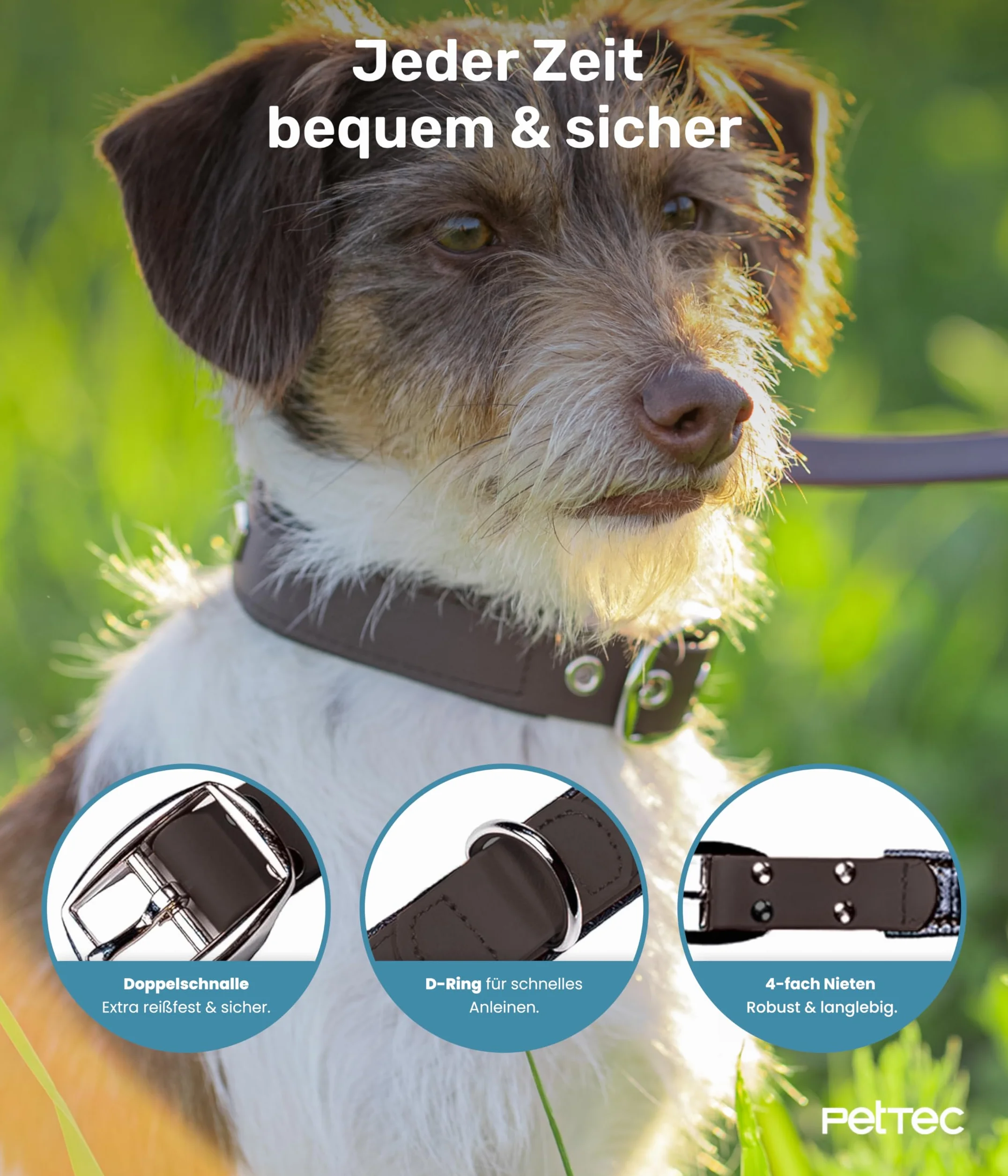 PetTec Obroża dla dużych i małych psów z Trioflex™ | odporna na warunki atmosferyczne i regulowana w kolorze | obroża dla psa w kolorze czerwonym, brązowym, czarnym i błyszczącym pomarańczowym