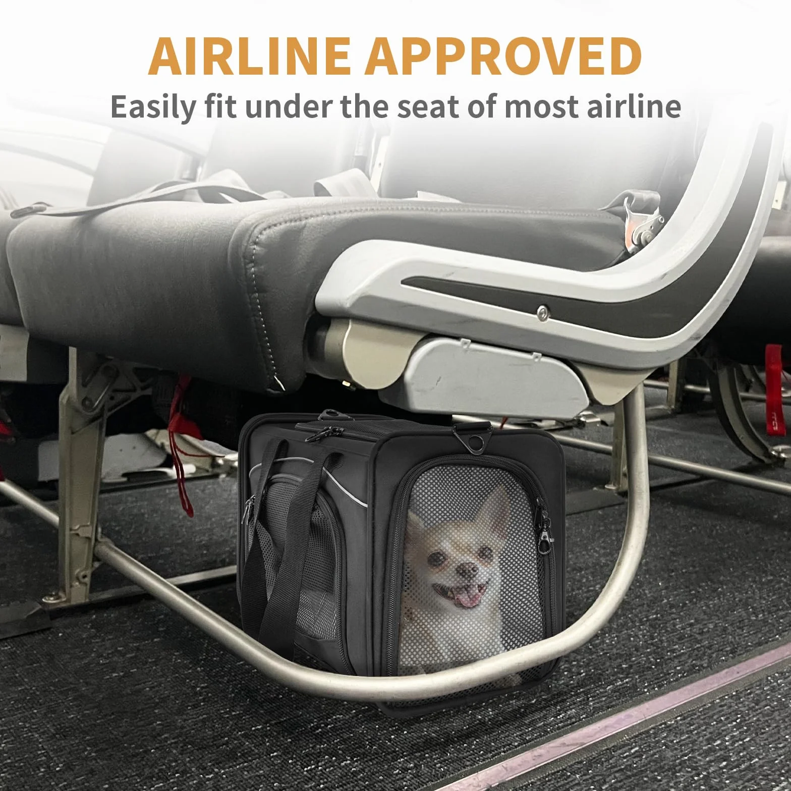Petsfit torba transportowa dla kota i psa zatwierdzona do lotu