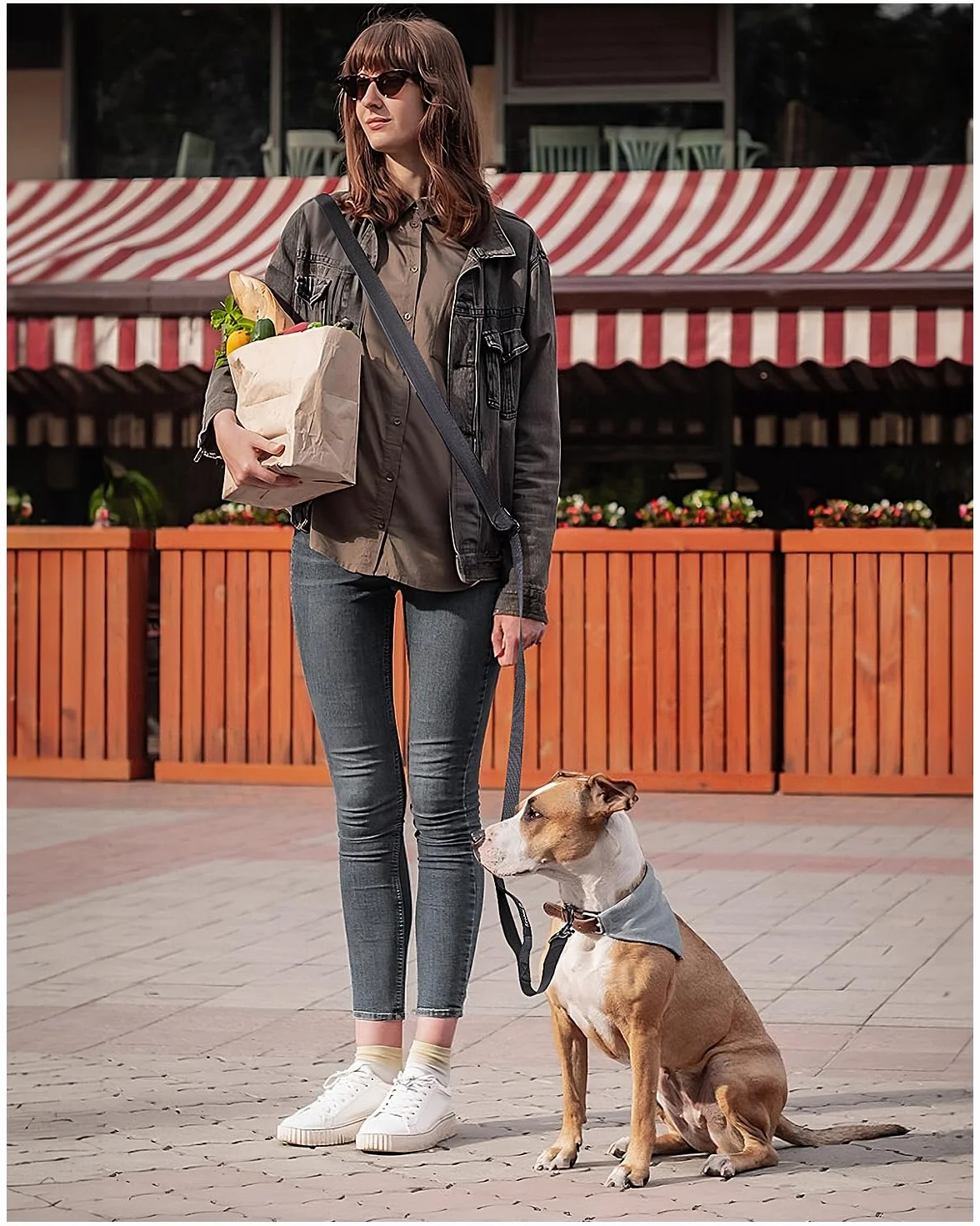 Smycz dla psów 2,5 m, regulowana smycz crossbody i biodra z miękkim uchwytem, do biegania, wędrówek i treningu dla dużych, średnich i małych psów