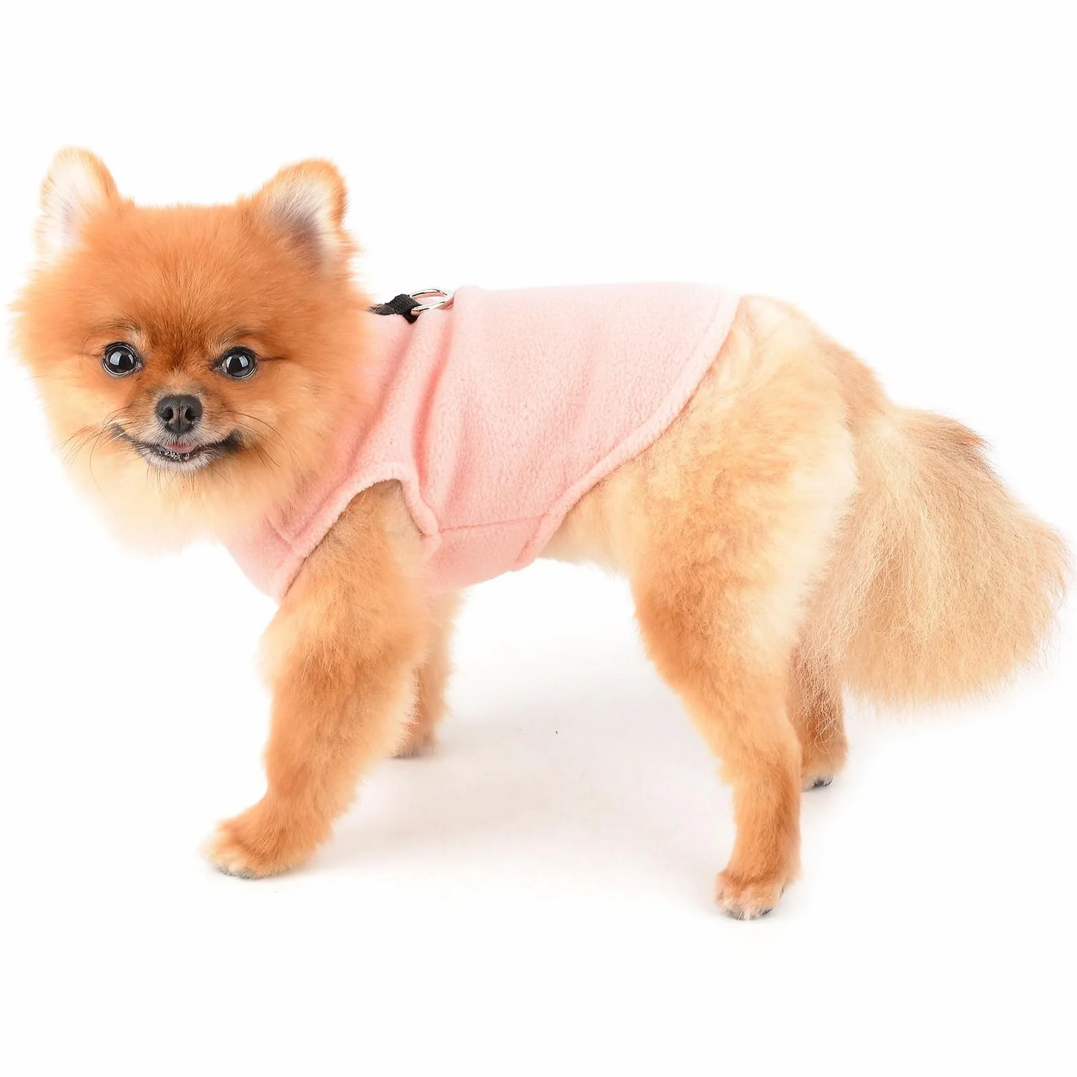 SMALLLEE_LUCKY_STORE Jednolity kolor szczeniak kamizelka polarowa sweter sweter ze smyczą pierścień dla małego psa kota chłopca dziewczyny yorkie chihuahua kotek ciepłe jesienne zimowe ubrania,