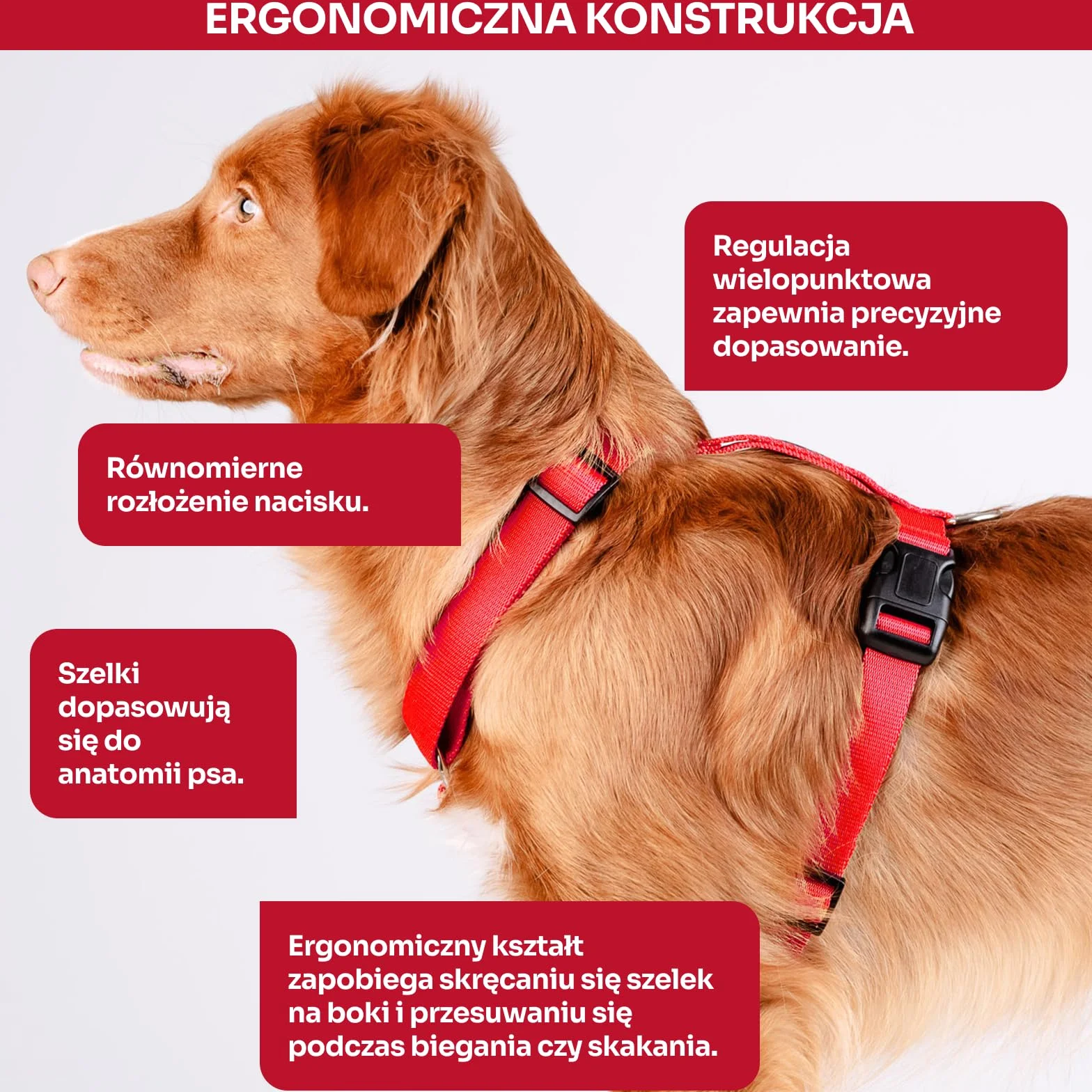 Chaba Szelki dla Małego Psa Guard | 5-cio stopniowa regulacja | Mocne zatrzaski | Ergonomiczne, Bezuciskowe, Lekkie, Regulowane, Solidne, Mocne, Wygodne | NO SHARP | CZERWONE | M