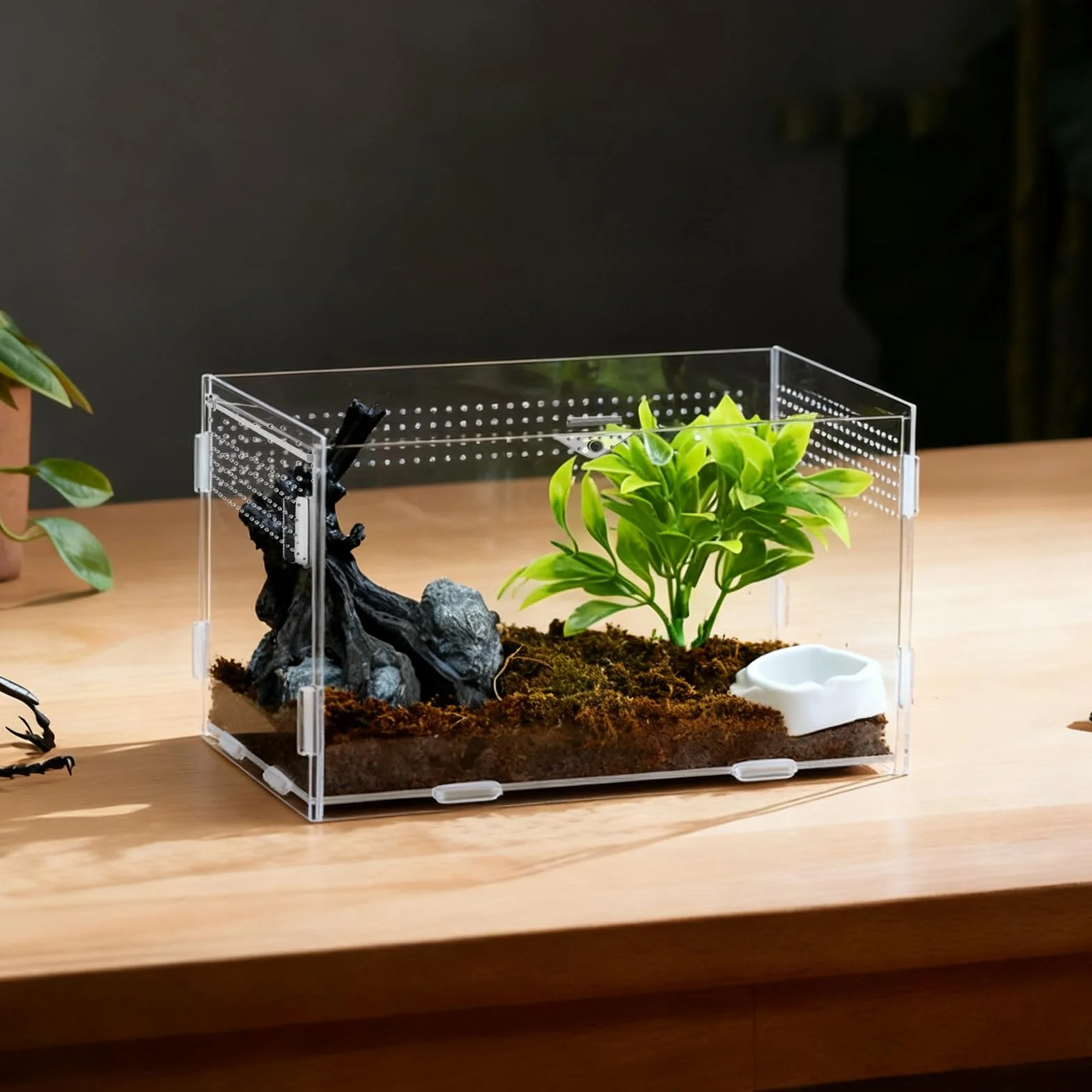Terrarium akrylowe ślimaki, 20 x 12 x 12 cm, terrarium akrylowe, przezroczyste małe z otworami wentylacyjnymi wivarium, dla pająków, gekonów, żółwi, pojemnik na owady