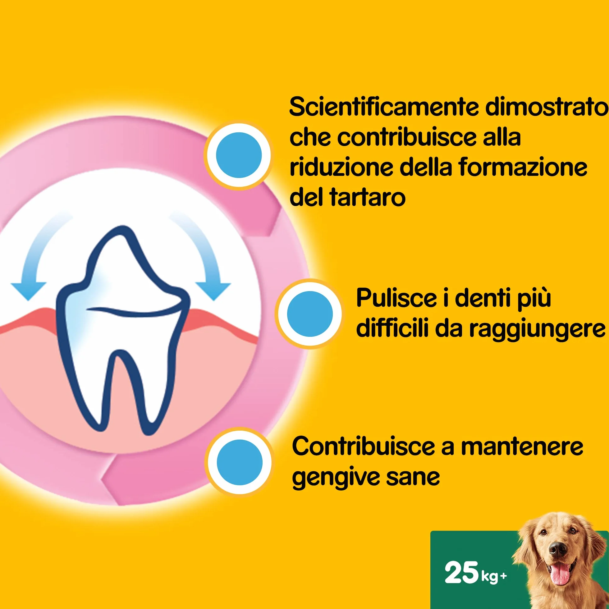 Pedigree Dentastix Snack do higieny jamy ustnej (Duży pies +25 kg), 270 g 105 sztuk - 15 opakowań po 7 sztuk (105 sztuk)