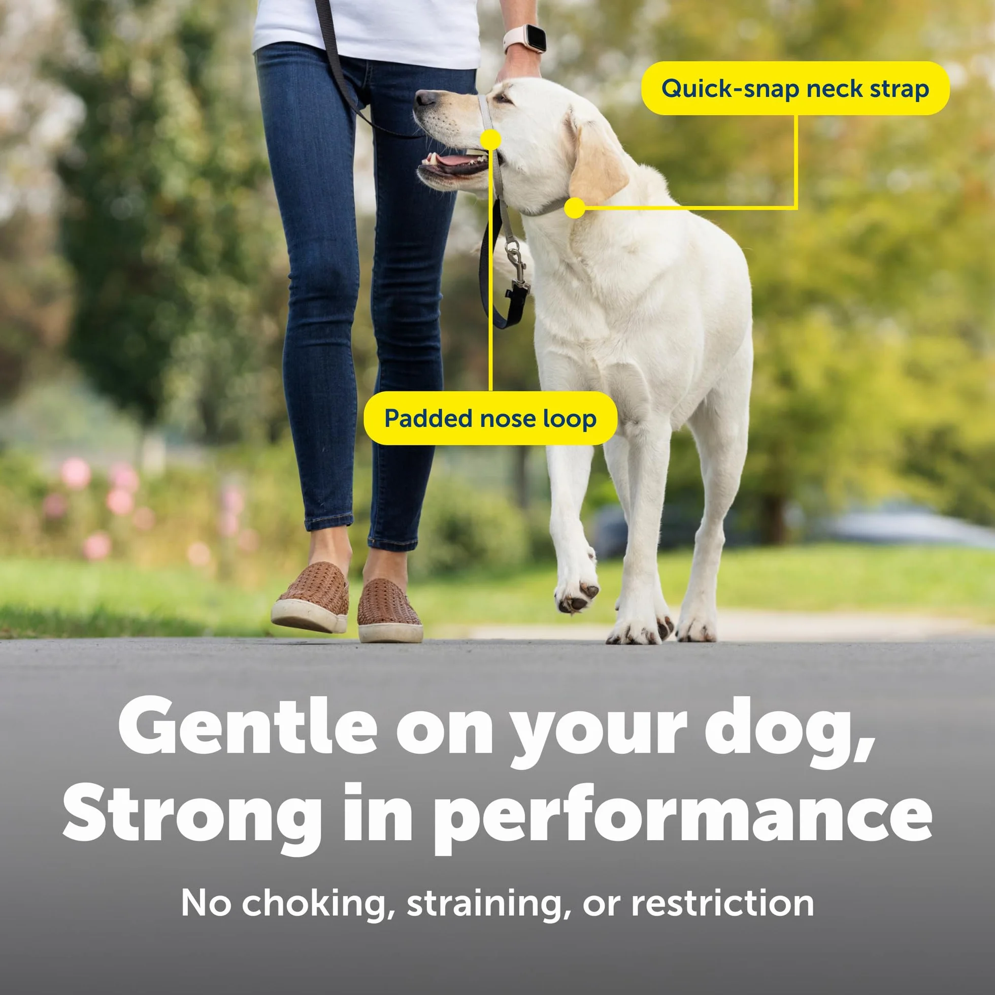 PetSafe Gentle Leader Obroża dla psa bez ciągnięcia – najlepsze rozwiązanie dla psów ciągnących – przekierowuje siłę psa, ułatwiając spacer – pomaga odzyskać kontrolę – L, niebieska (Royal Blue)