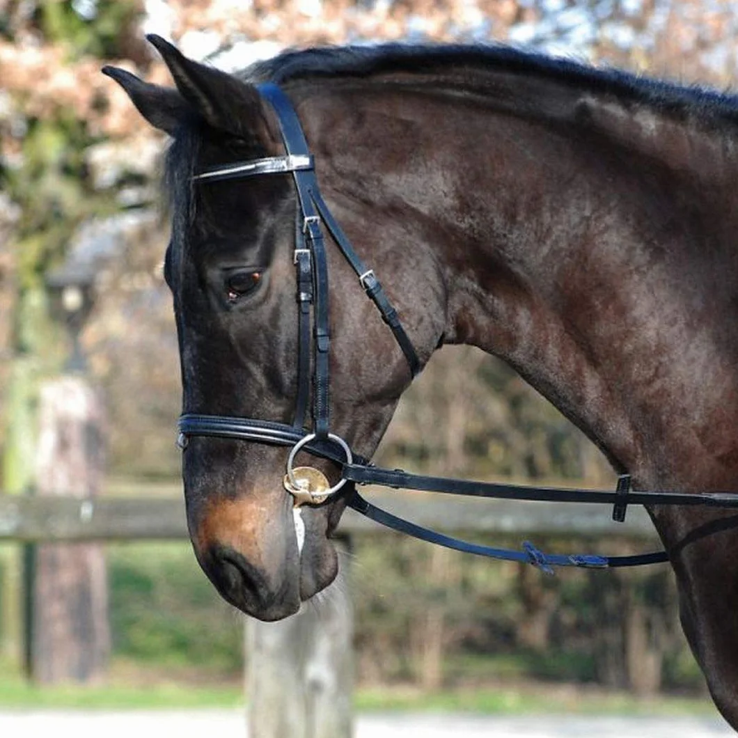 Stübben 2262 Golden Wings Snaffle Bit podwójnie uszkodzony