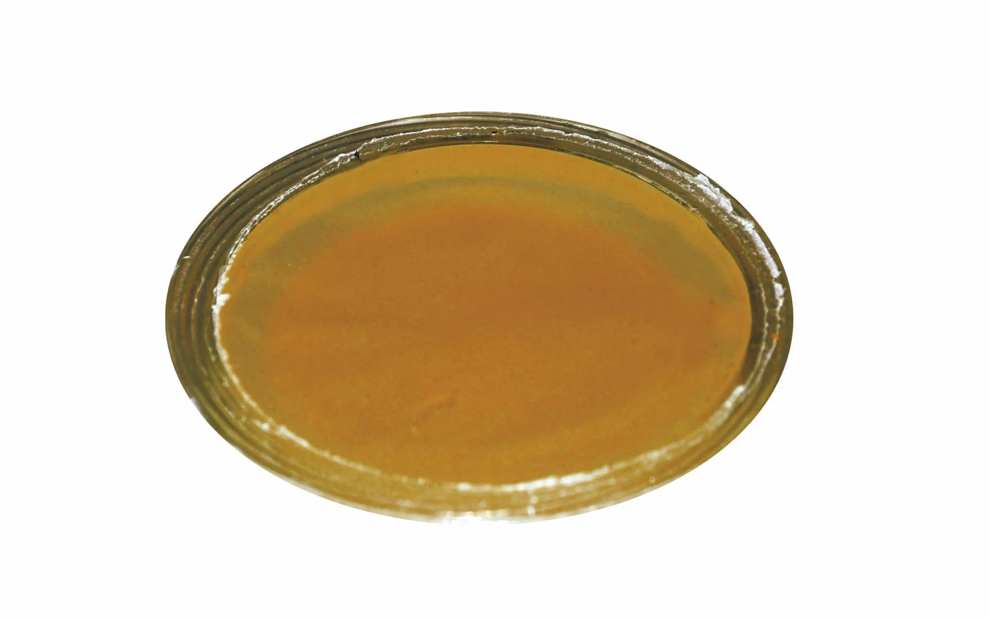 Dragon Terraristik Jelly-Food Mixed Pack 20 sztuk po 16 g, 1 opakowanie (1 x 320 g)