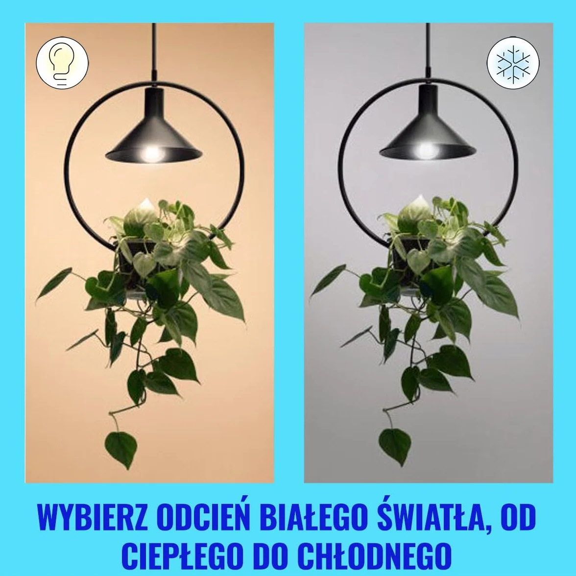 WiZ Ultra wydajna inteligentna lampa LED, E27, klasa efektywności energetycznej A, energooszczędna, automatyzacja i inteligentne sterowanie za pomocą aplikacji/głosu przez Wi-Fi