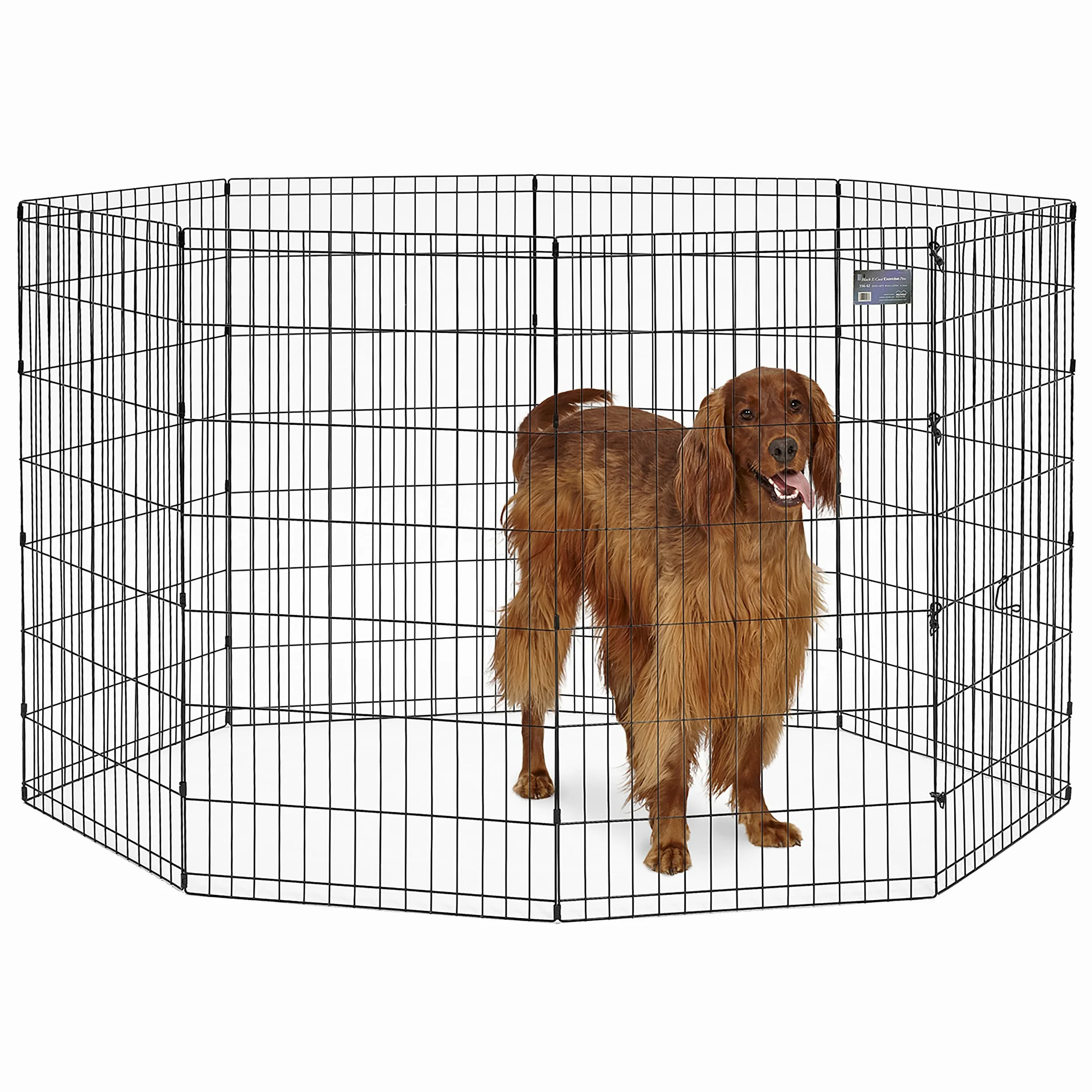 MidWest Homes for Pets Pióro do ćwiczeń dla psów kojec z drzwiami 60,96 x 106,68 cm czarny E-Coated