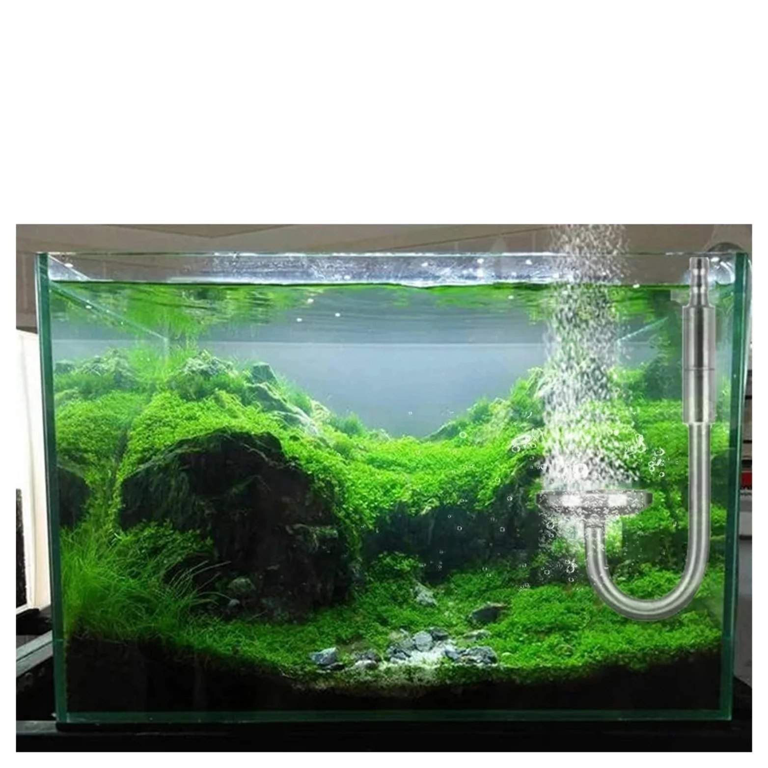 5L Double Aquarium CO2 Generator System Kit CO2 Cylinder Generator System with Solenoid Valve Bubble Diffuser Carbon Dioxide