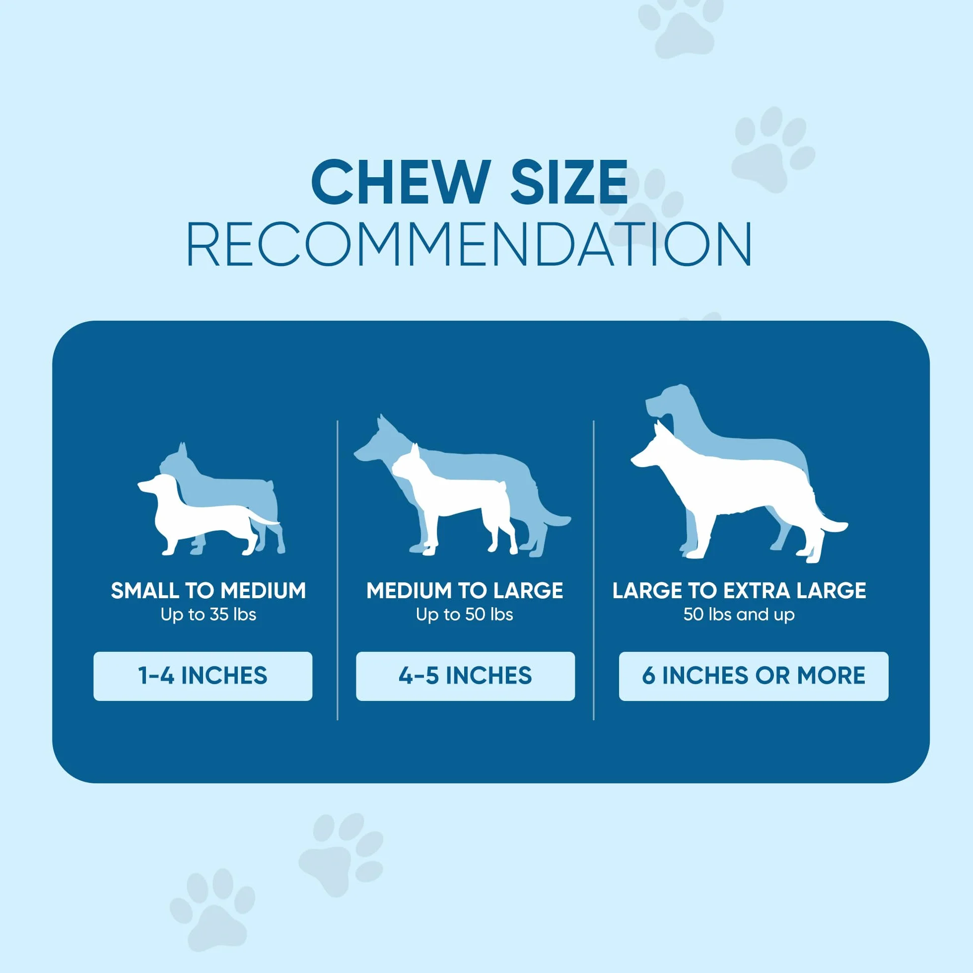Whole Pig Ear Dog Chews (100 sztuk)