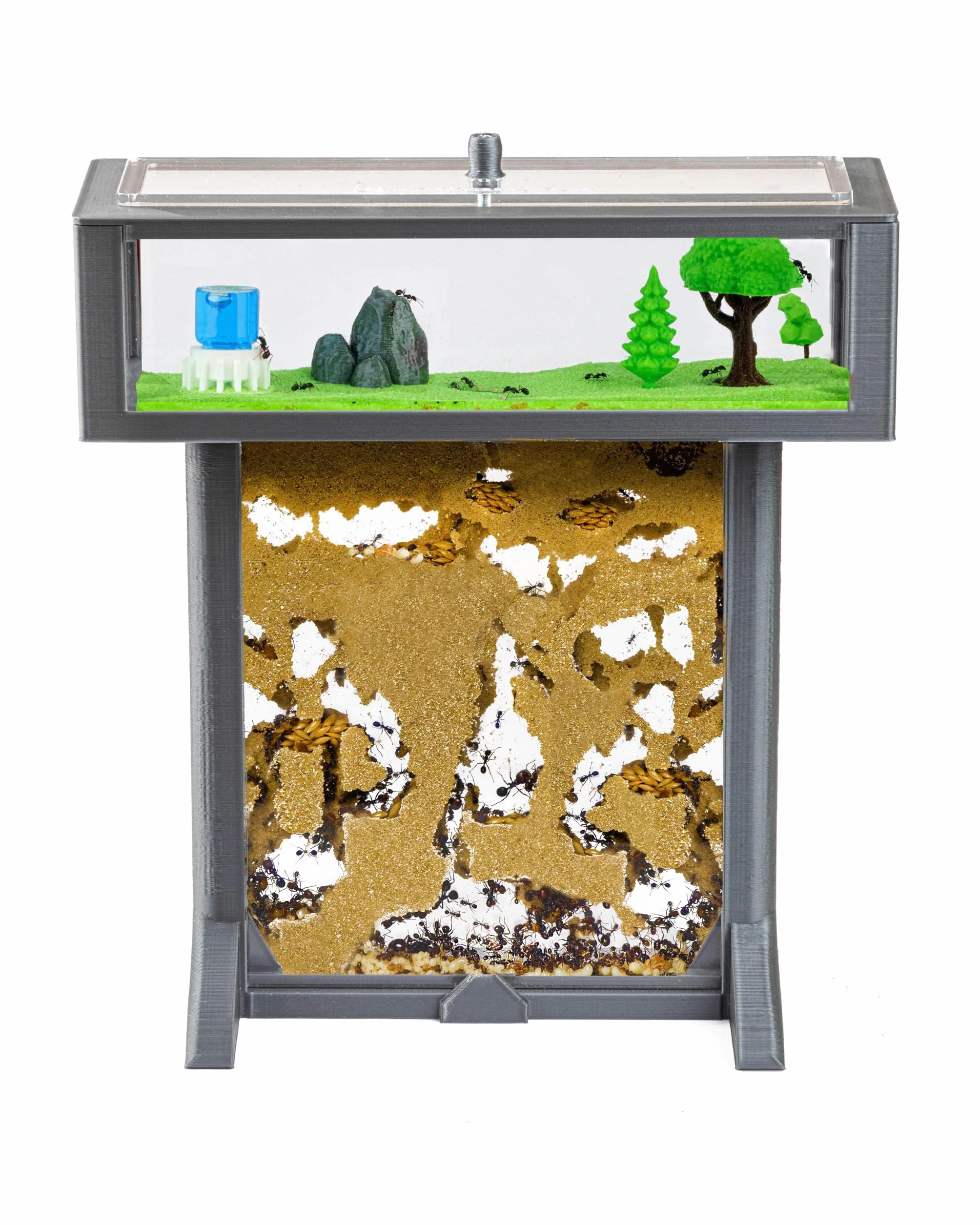 AntHouse Naturalna farma mrówek, z piasku, zestaw akrylowy 3D w kształcie litery T, 15 x 15 x 1,5 cm, kolor szary, w zestawie z mrówkami