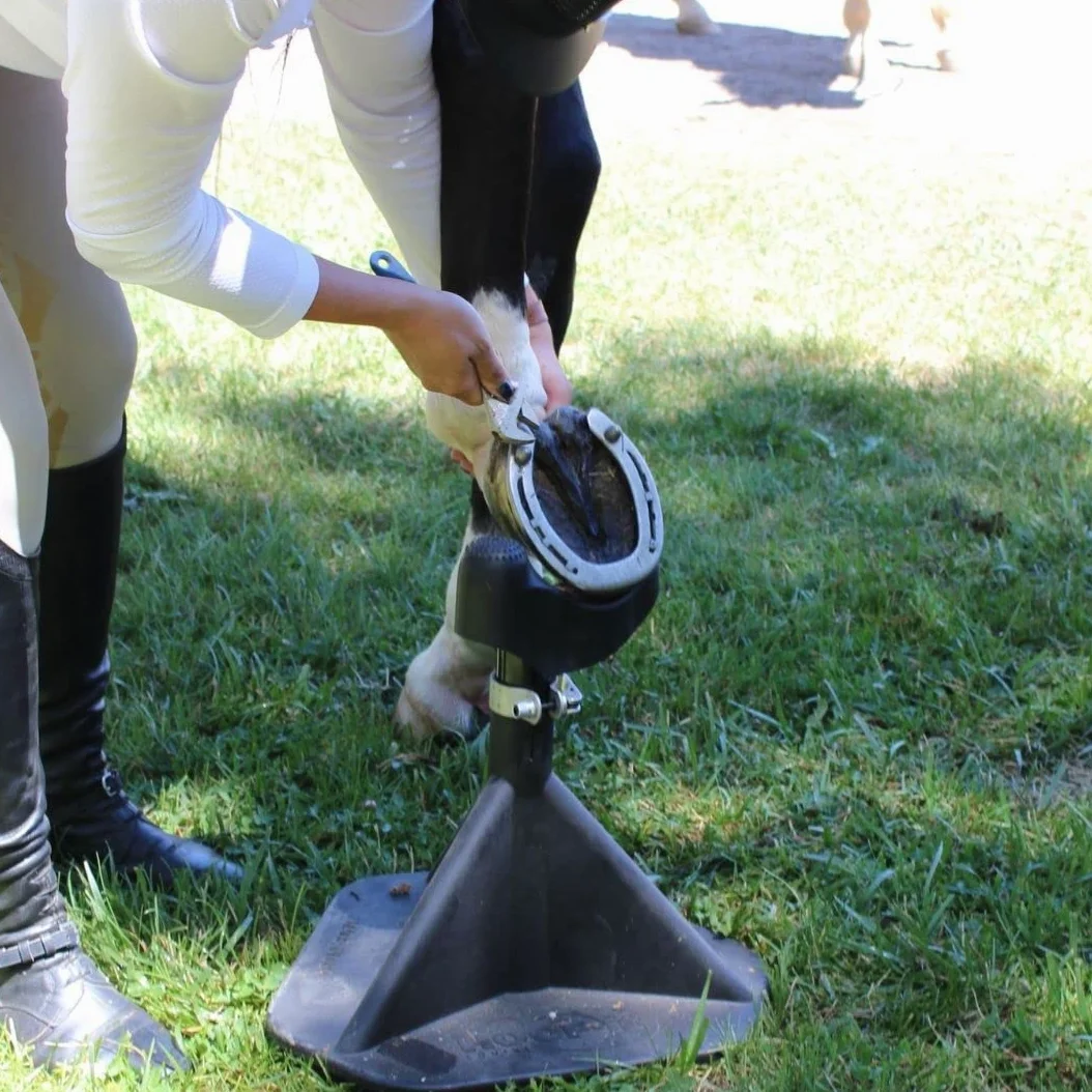 Hoof It Kowal Farrier stojak na kopyta konia, czarny