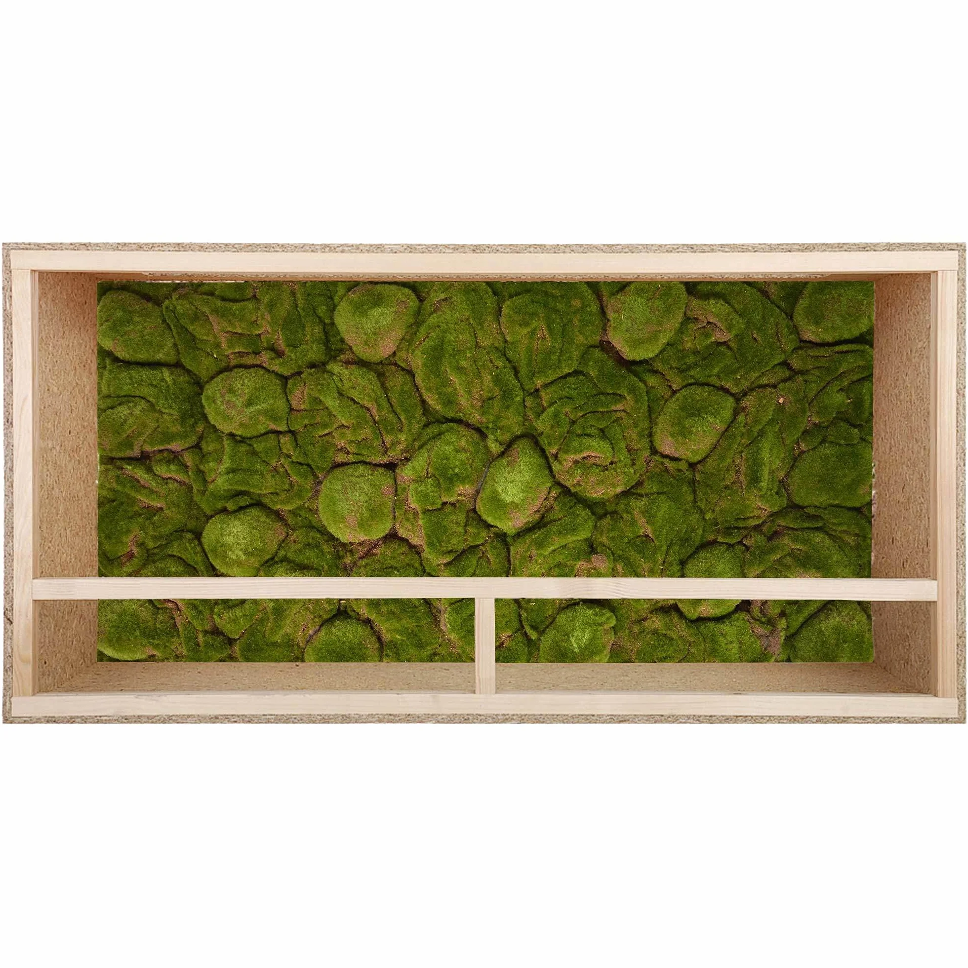 REPITERRA Terrarium tylna ściana 3D dekoracja tła naturalny mech 116 x 58 cm