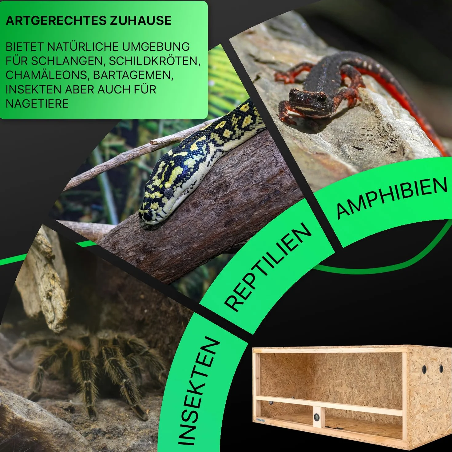 ITA Drewniane terrarium 120 x 50 x 50 cm ze zintegrowaną wentylacją i higrometrem, drewniane terrarium OSB-3, dla gadów, węży, płazów - produkt UE, certyfikat FSC