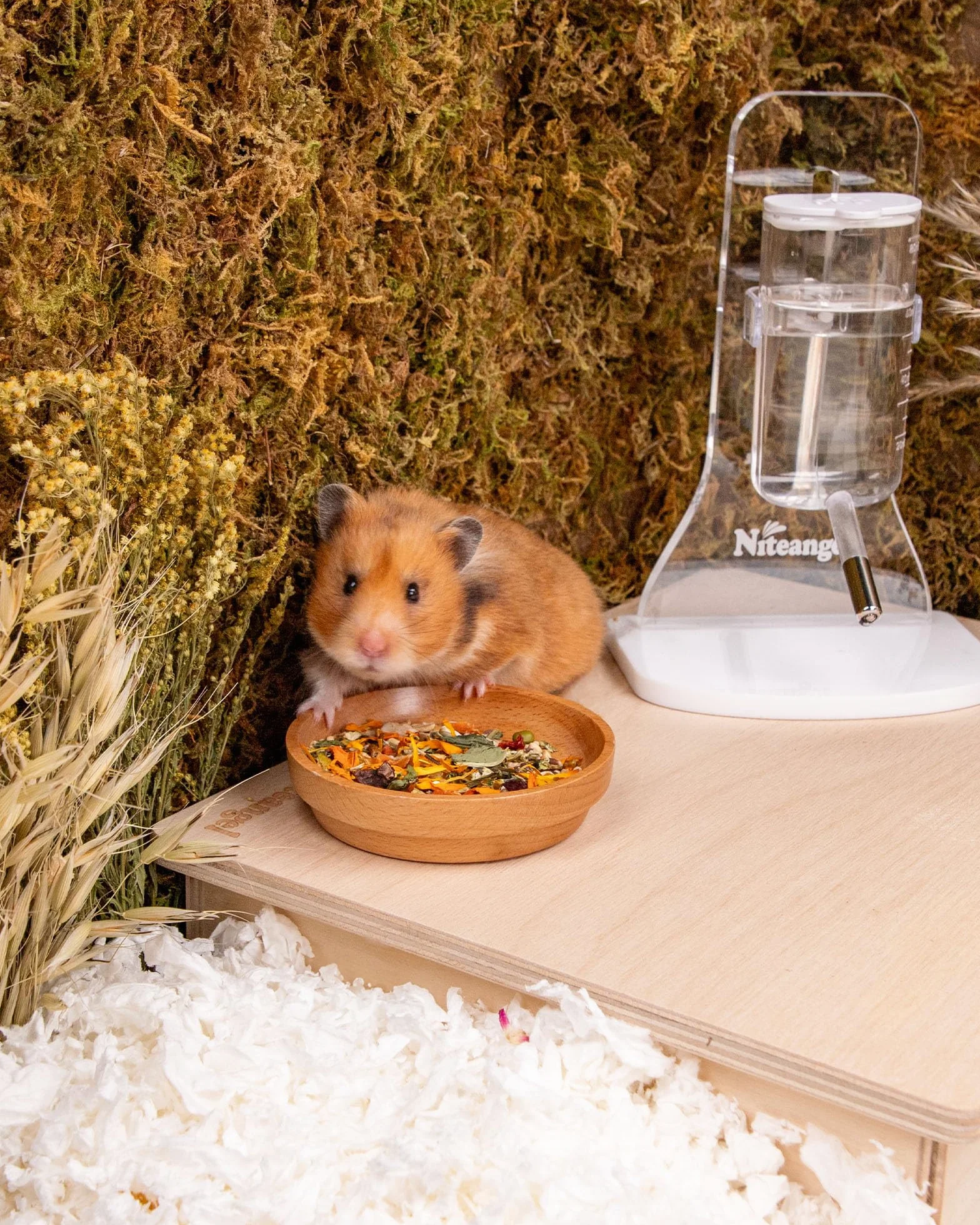 Niteangel Zabawka dla chomików i smakołyków – naturalna uczta dla chomików karłowatych, chomików syryjskich, chomików robo, gerbils, myszy – Classics 500 g Golden Hamster Food