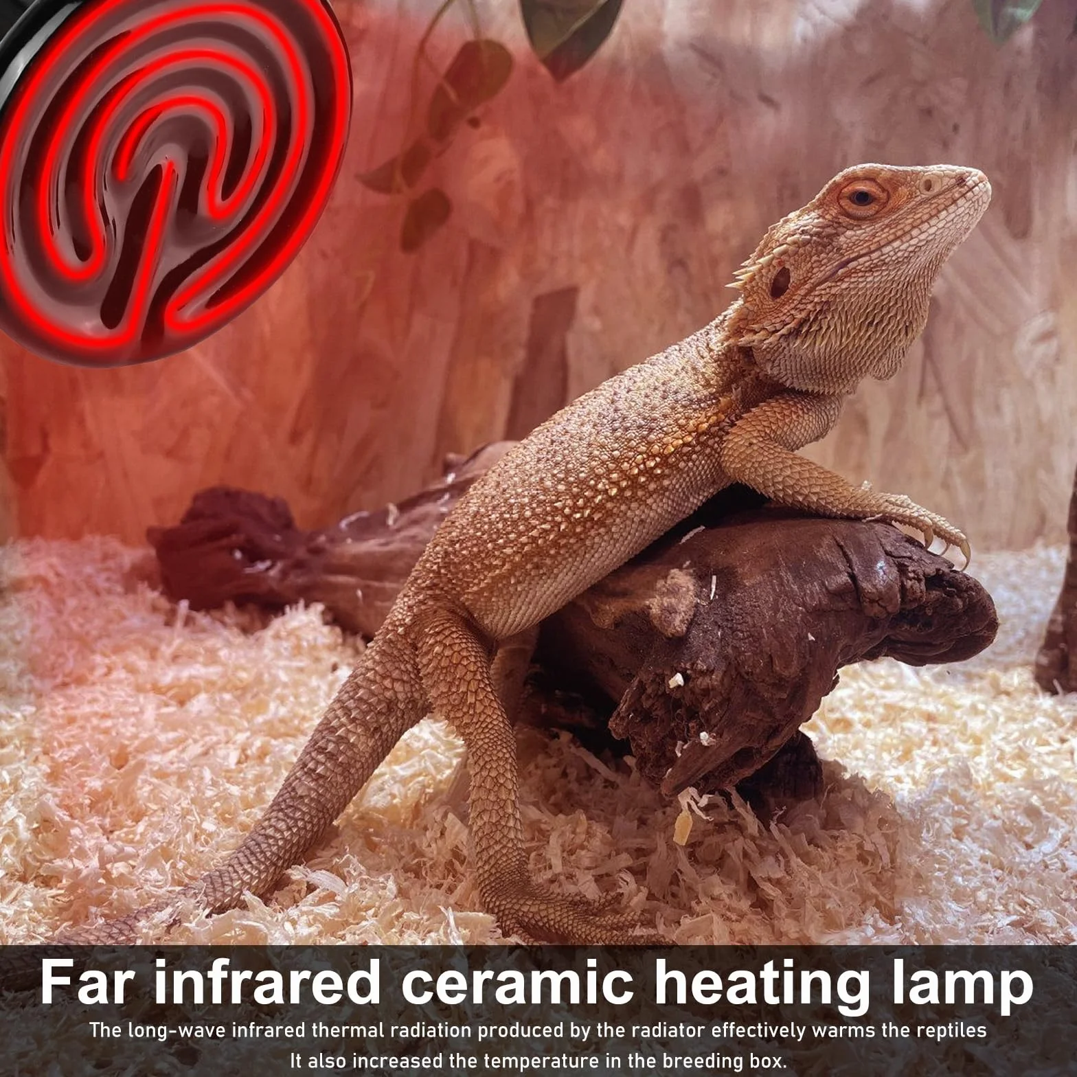 2 sztuki lamp grzewczych dla gadów: E27, ceramiczna lampa grzewcza, 100 W, terrarium, gady, żółw, agama, wąż, pająk, jaszczurka, pisklę