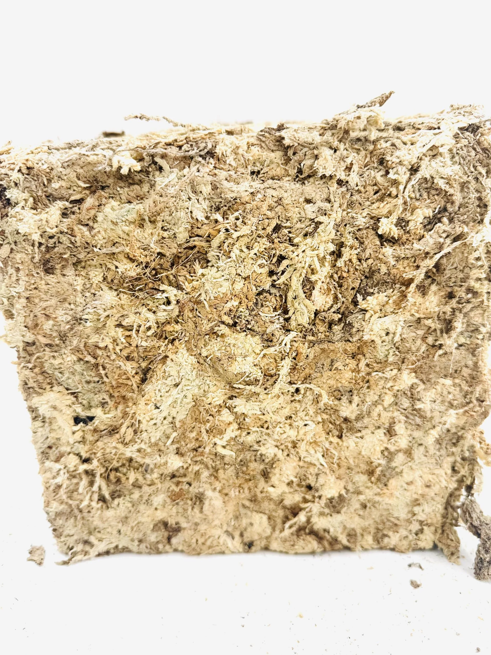 Madagaskar Sphagnum Moss – podłoże do roślin hydroponicznych – 5 litrów