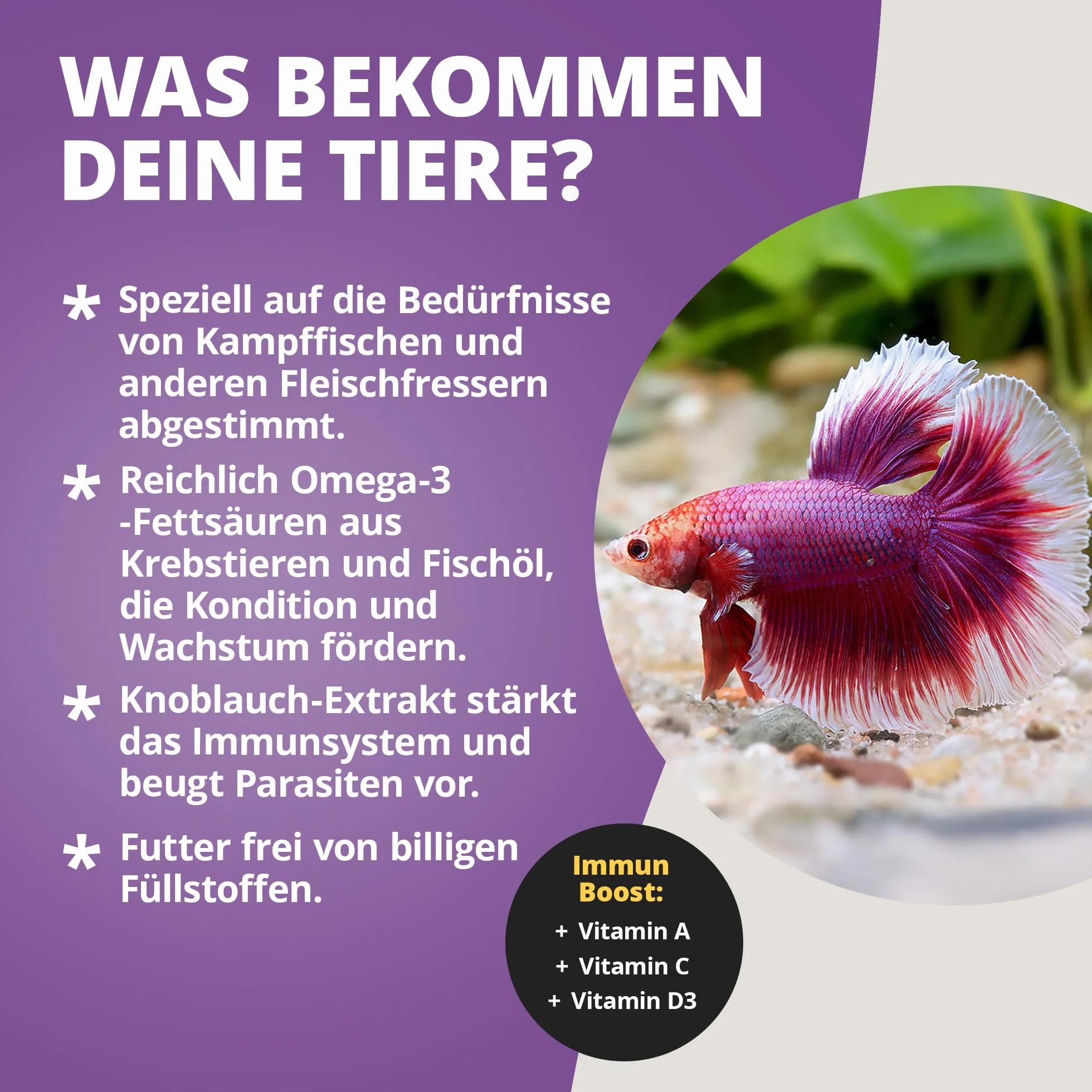 NatureHolic Bettafeed - Bettafutter I specjalny pokarm dla ryb bojowych I ze wszystkim, czego potrzebuj± Bettas I delikatna produkcja I wyprodukowany w Niemczech I 50ml