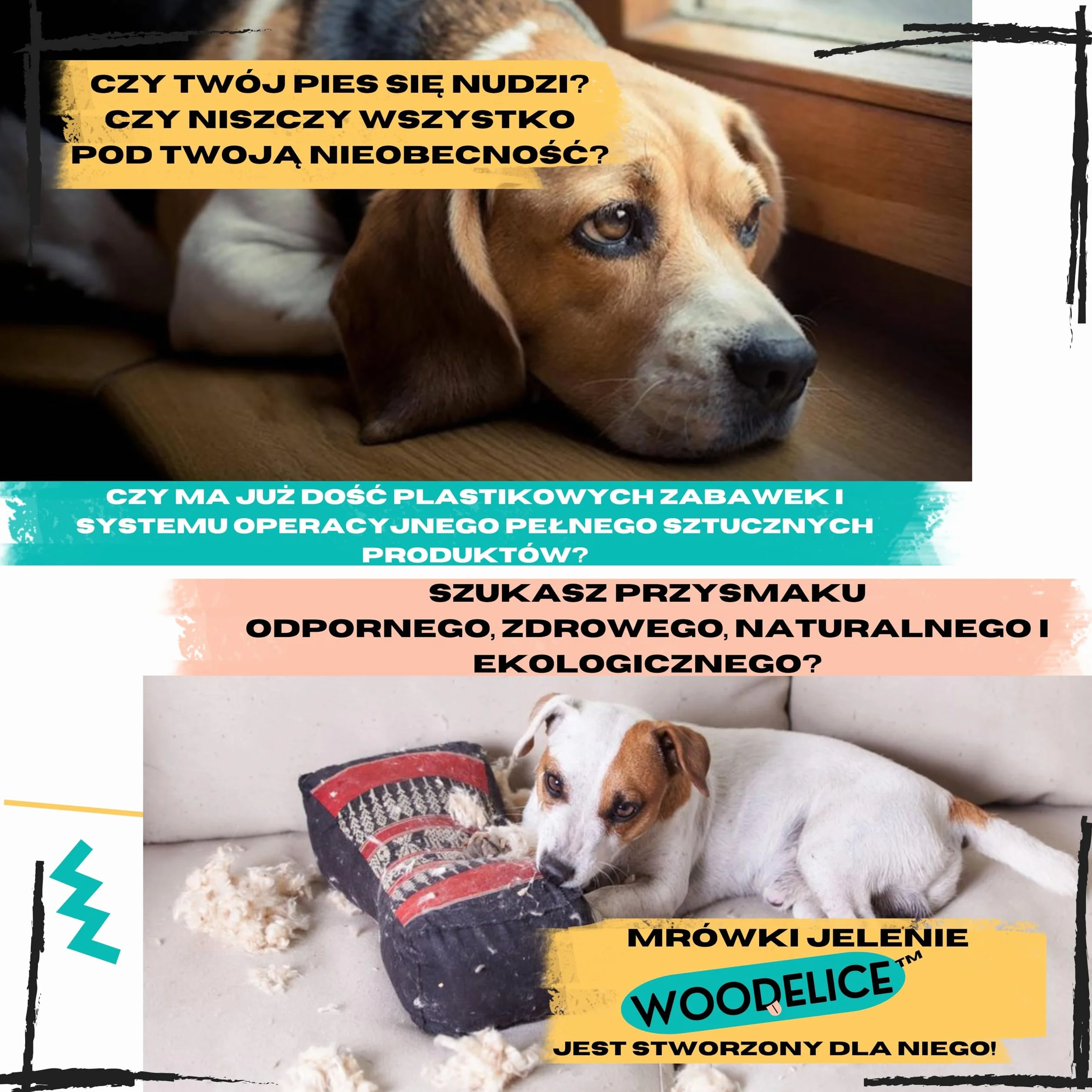 Poroże jelenia dla psa, Rozmiar XS Psy Miniaturowe i Szczenięta, 2 szt | Usuwa kamień nazębny, Źródło minerałów, 100% Naturalny gryzak, Ultra wytrzymały, Bez konserwantów
